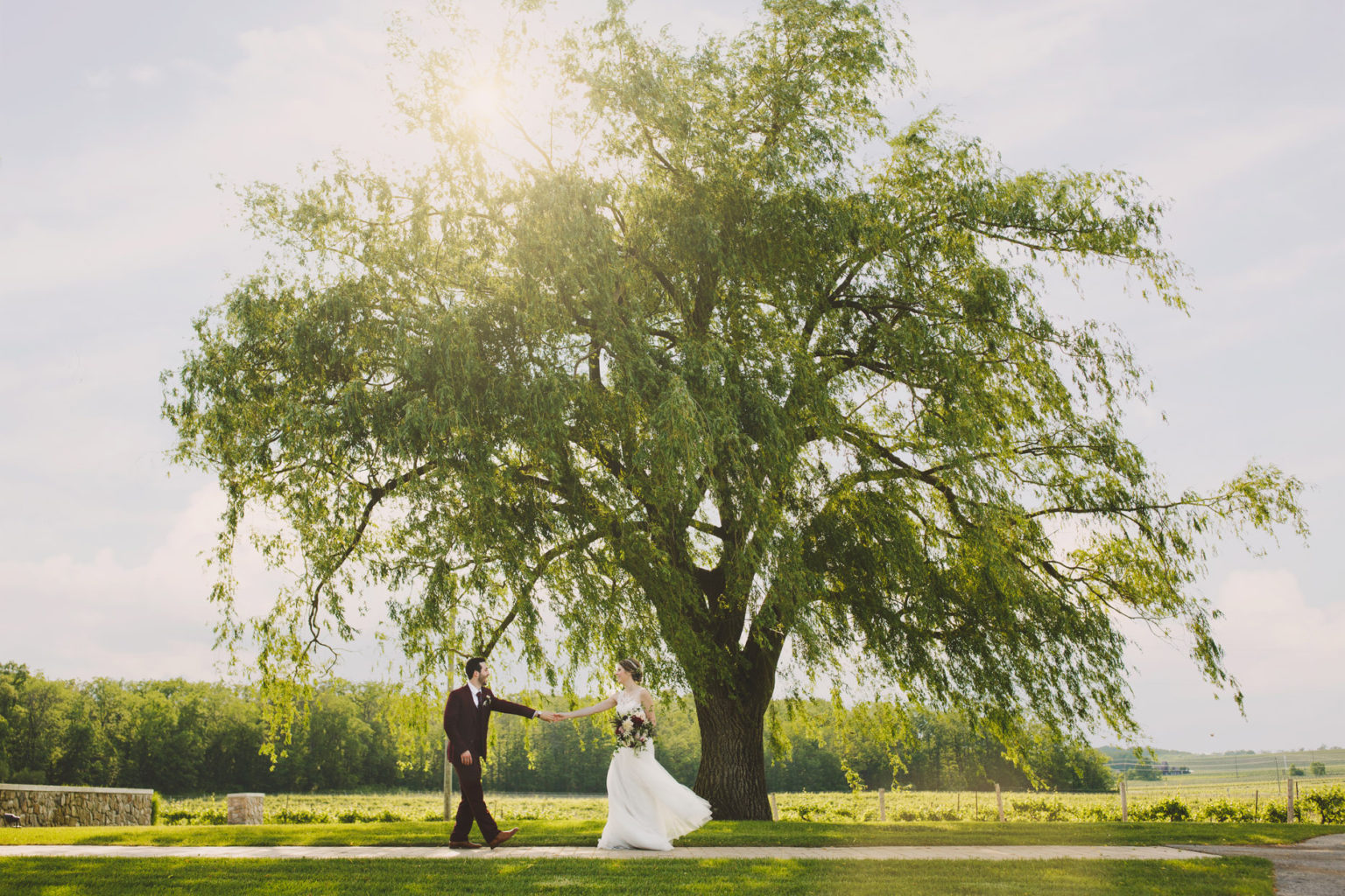 Big Tree Vineland Estates Winery Wedding