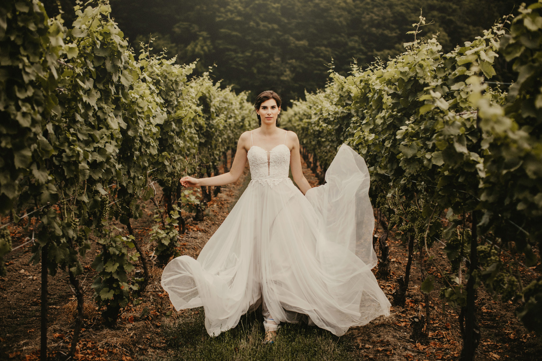 bride-wedding-inn-on-the-twenty-cave-spring-vineyard