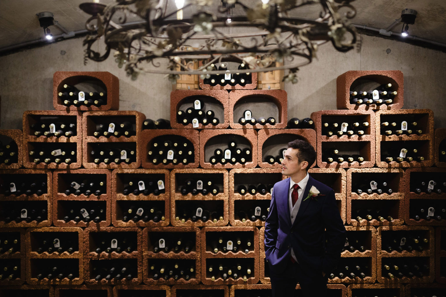 I + A Vineland Estates Winery Wedding Afterglow