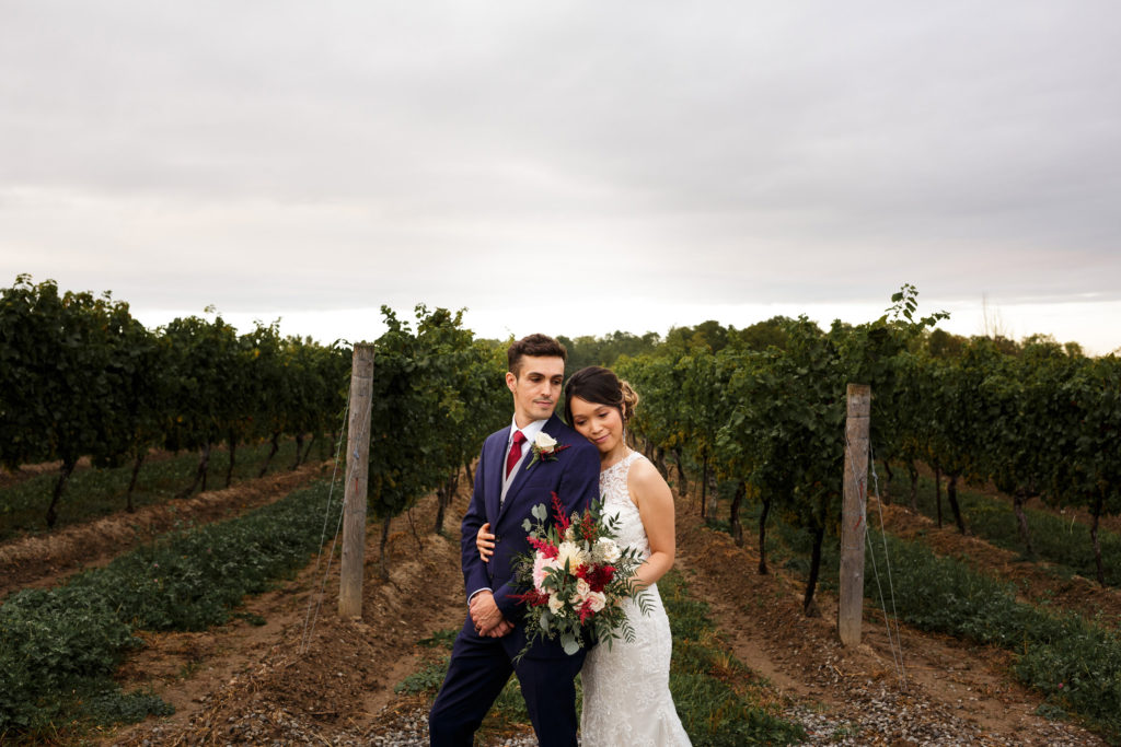 vineyard bride groom vineland estates winery wedding