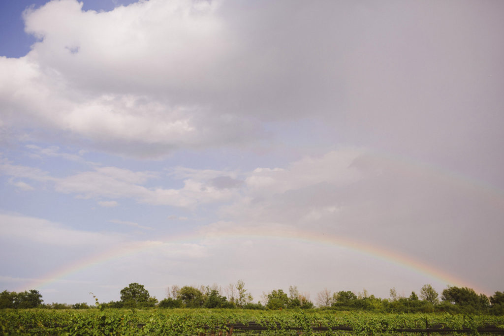 winery vineyard rainbow southbrook rain cloud wedding day