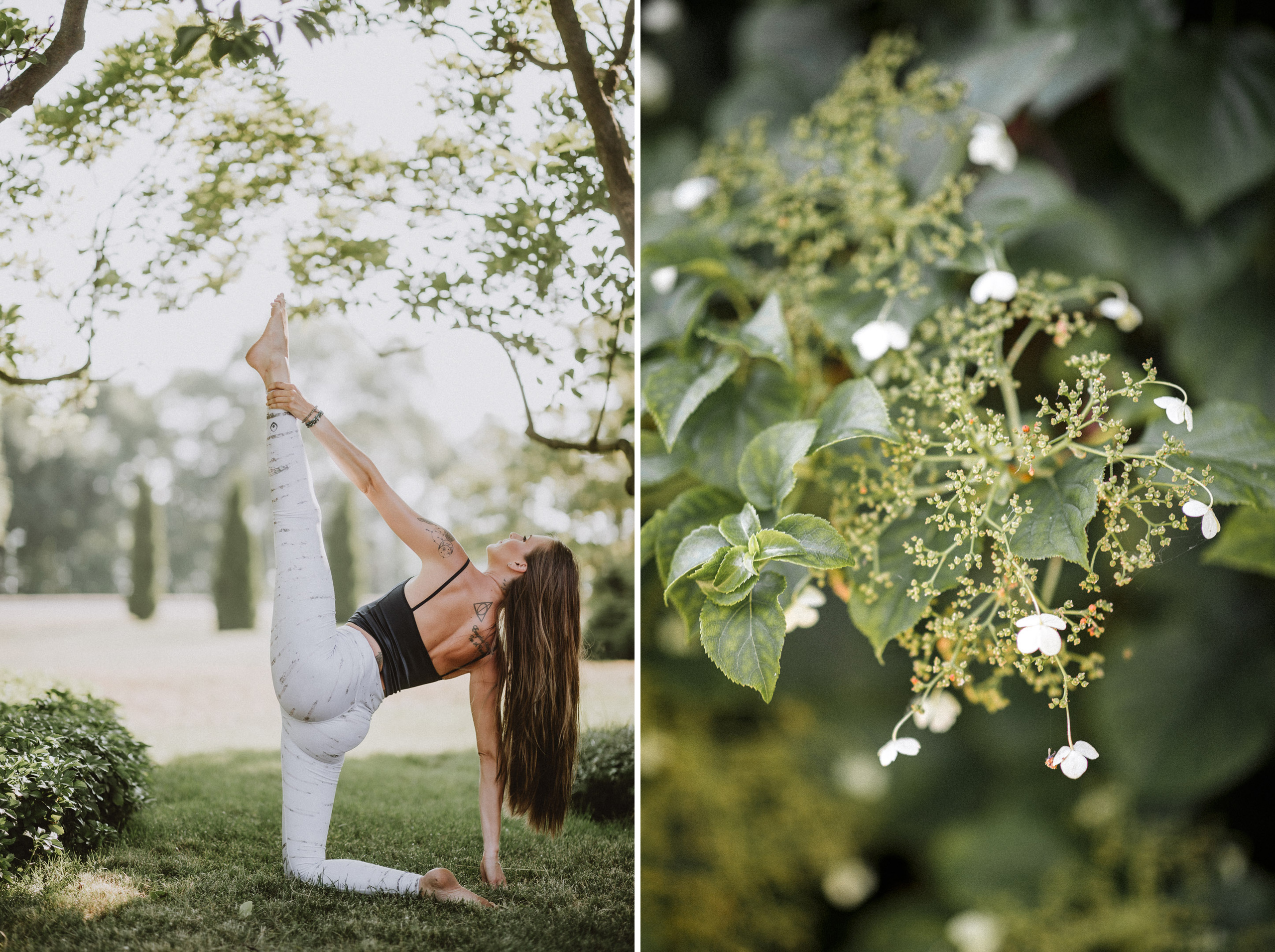 birch tree yoga pants niagara photography