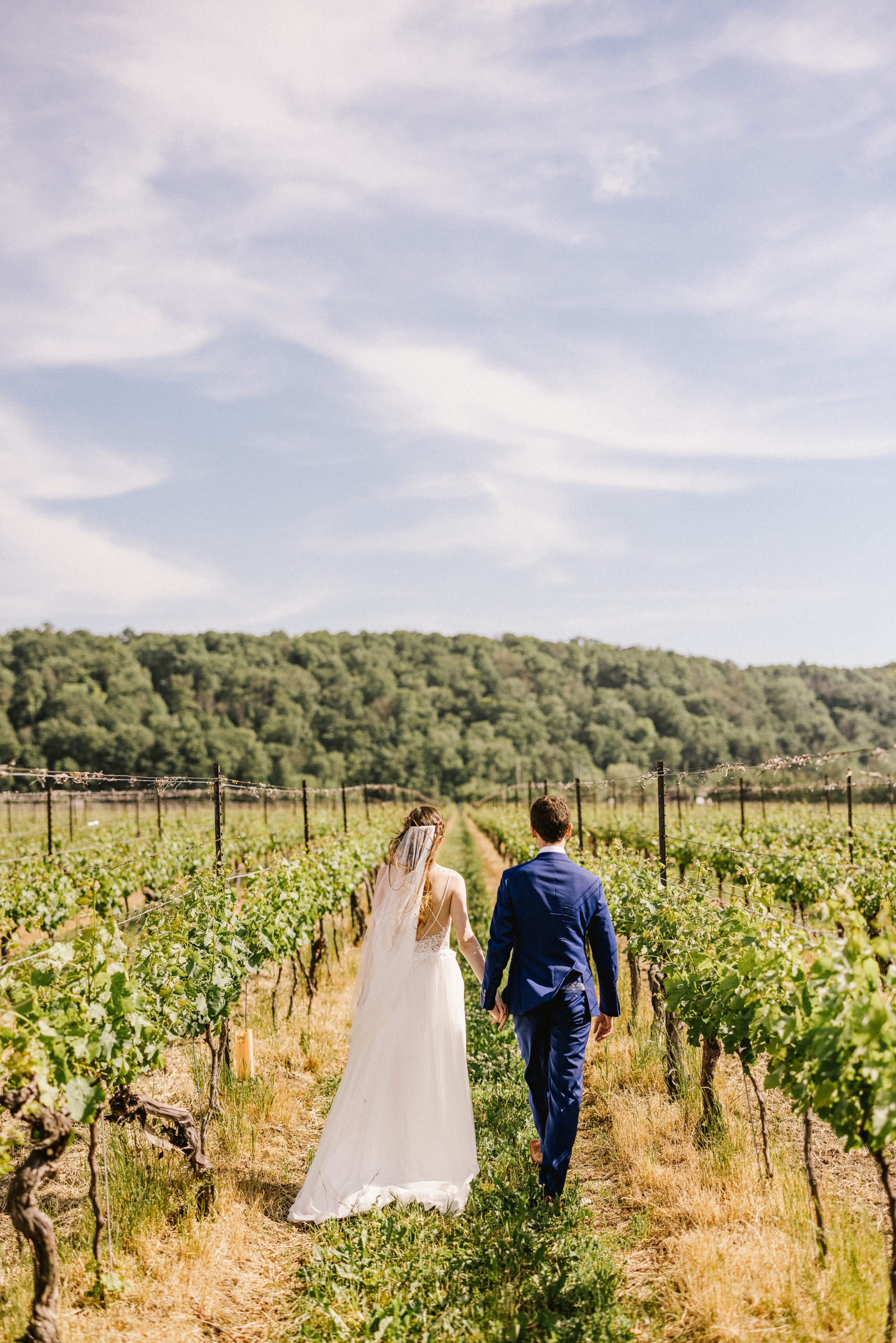 romantic wedding photos at cave spring vineyard afterglow images spring