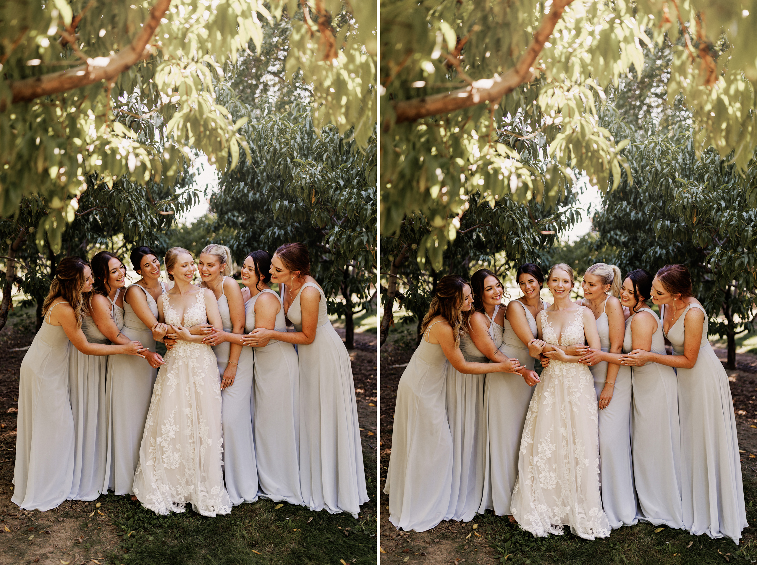 bridemaids group photo apple orchard wedding photography afterglow
