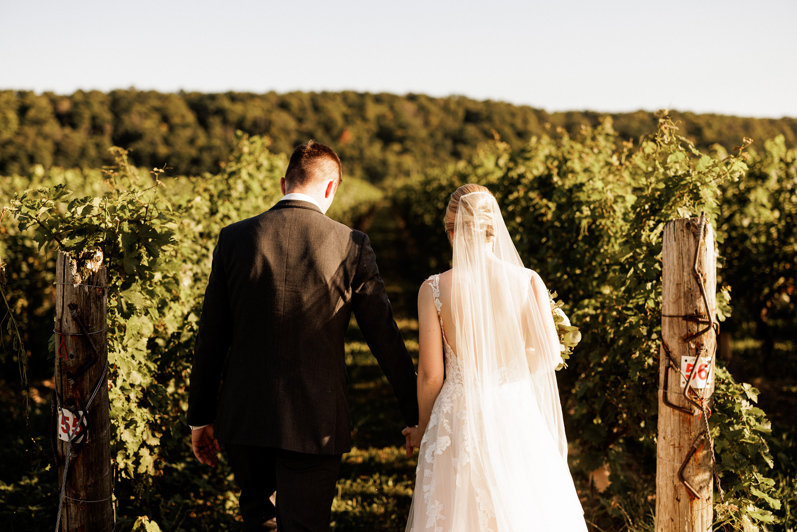 vineyard winery wedding cave spring afterglow photographer