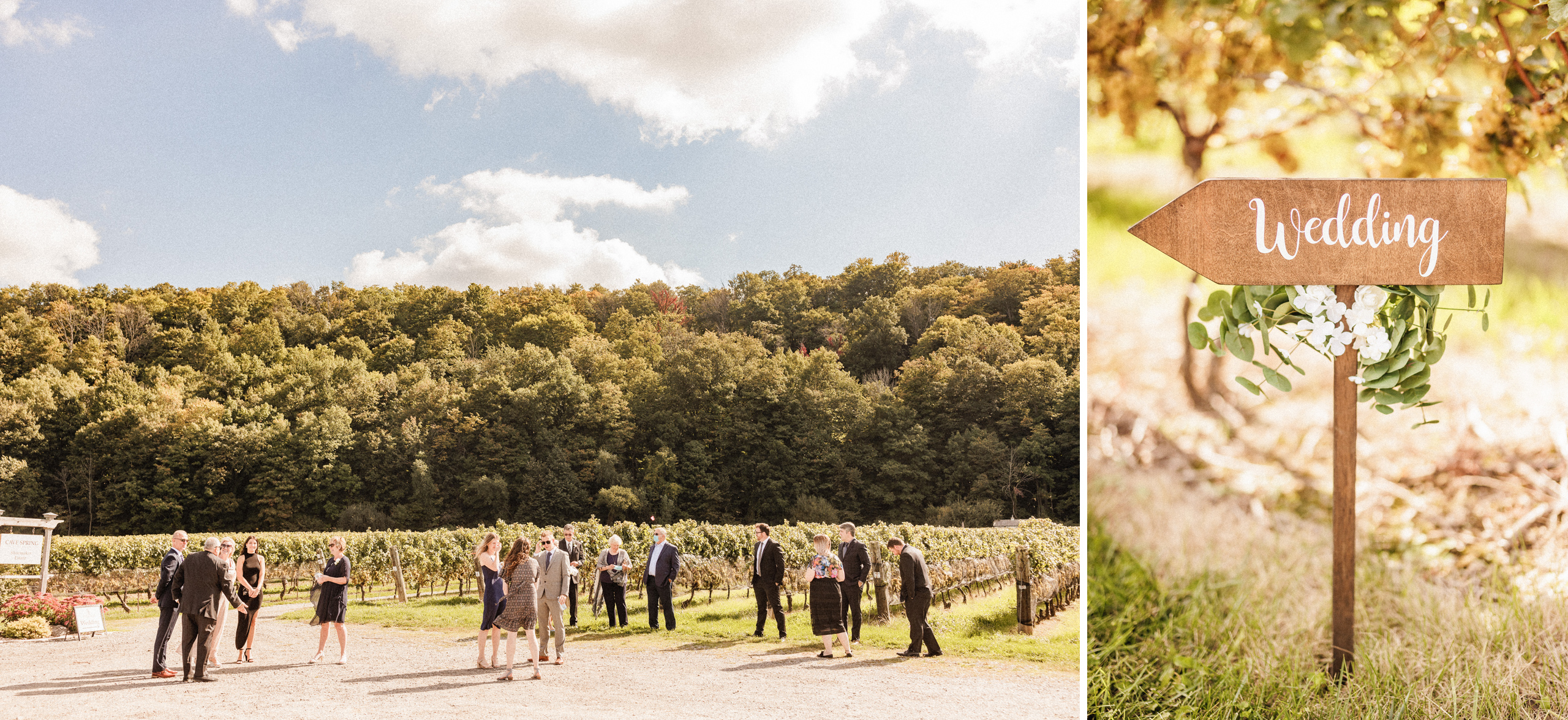 cave spring vineyard escarpment site wedding ceremony afterglow images autumn fall