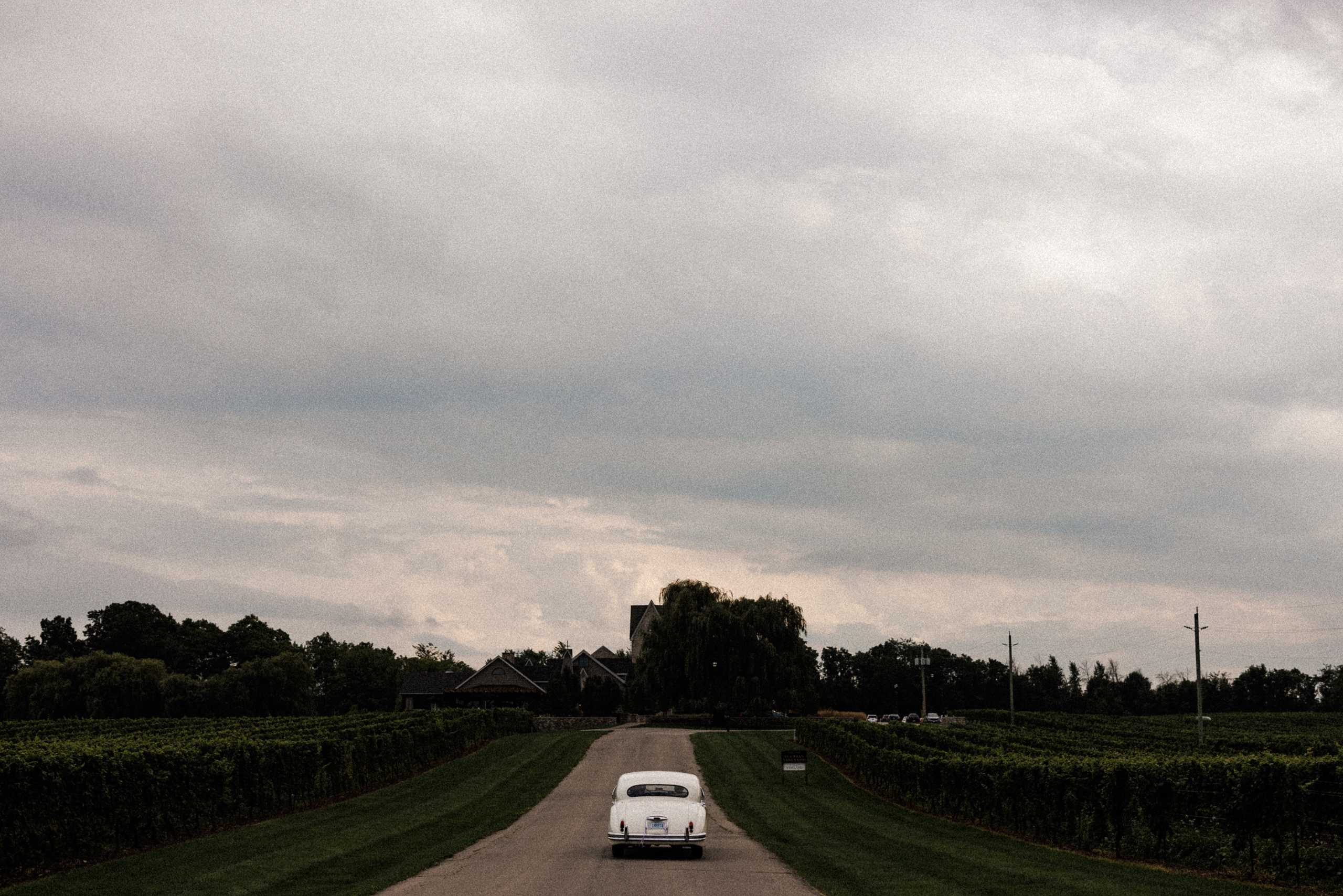 classic rolls royce car driveway vineland estates winery wedding