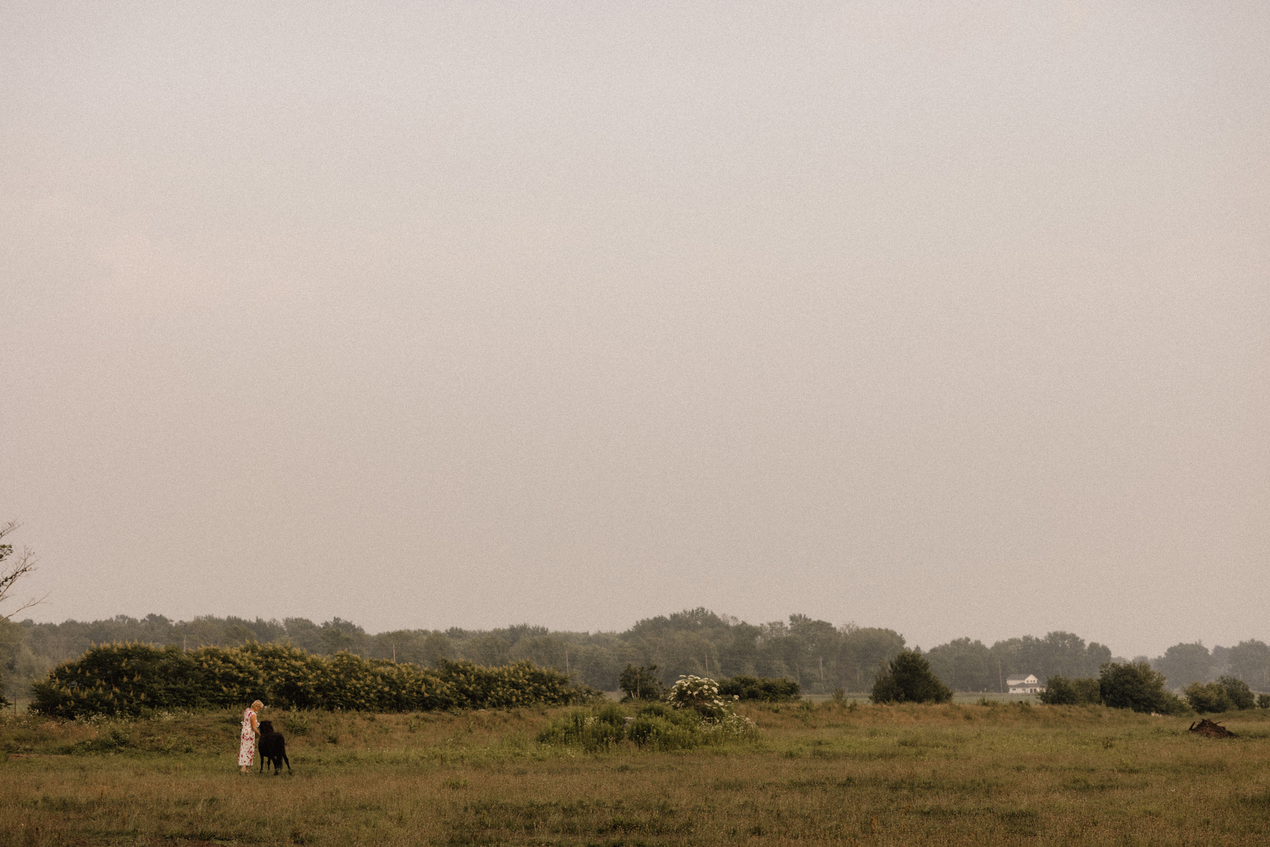 maple meadows farm field horse wedding photographer afterglow im