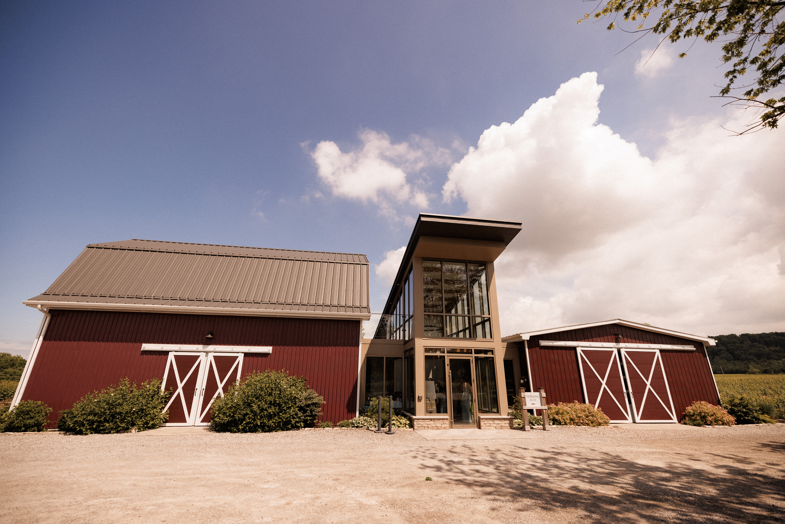 wide angle photo barns cave spring vineyard summer wedding