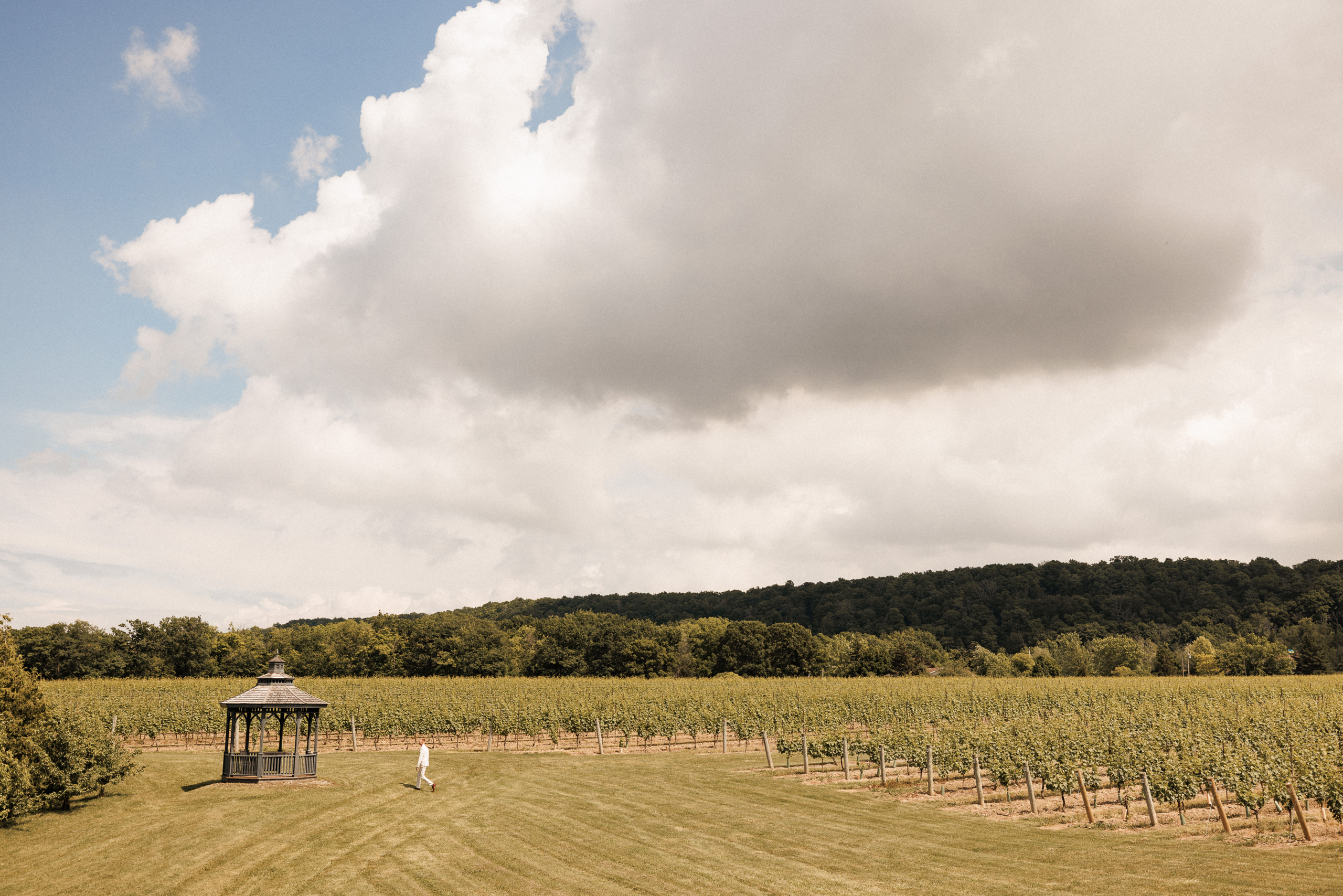 first look cave spring vineyard summer wedding