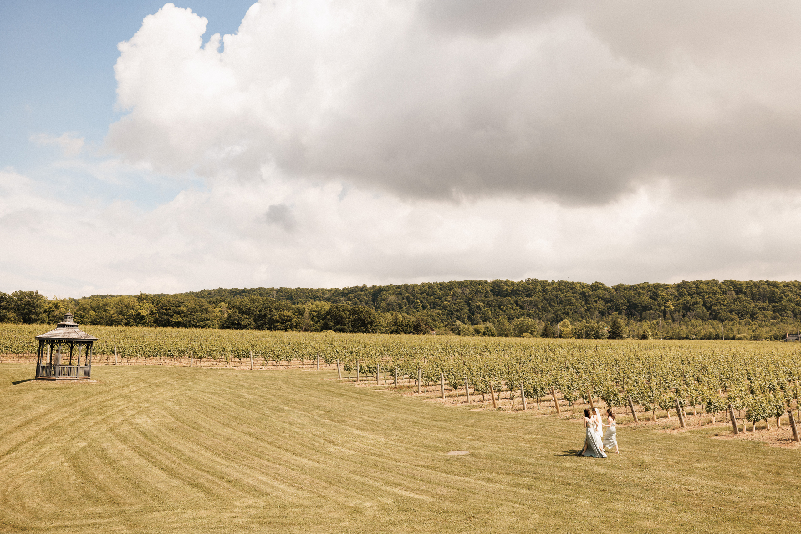 first look cave spring vineyard summer wedding