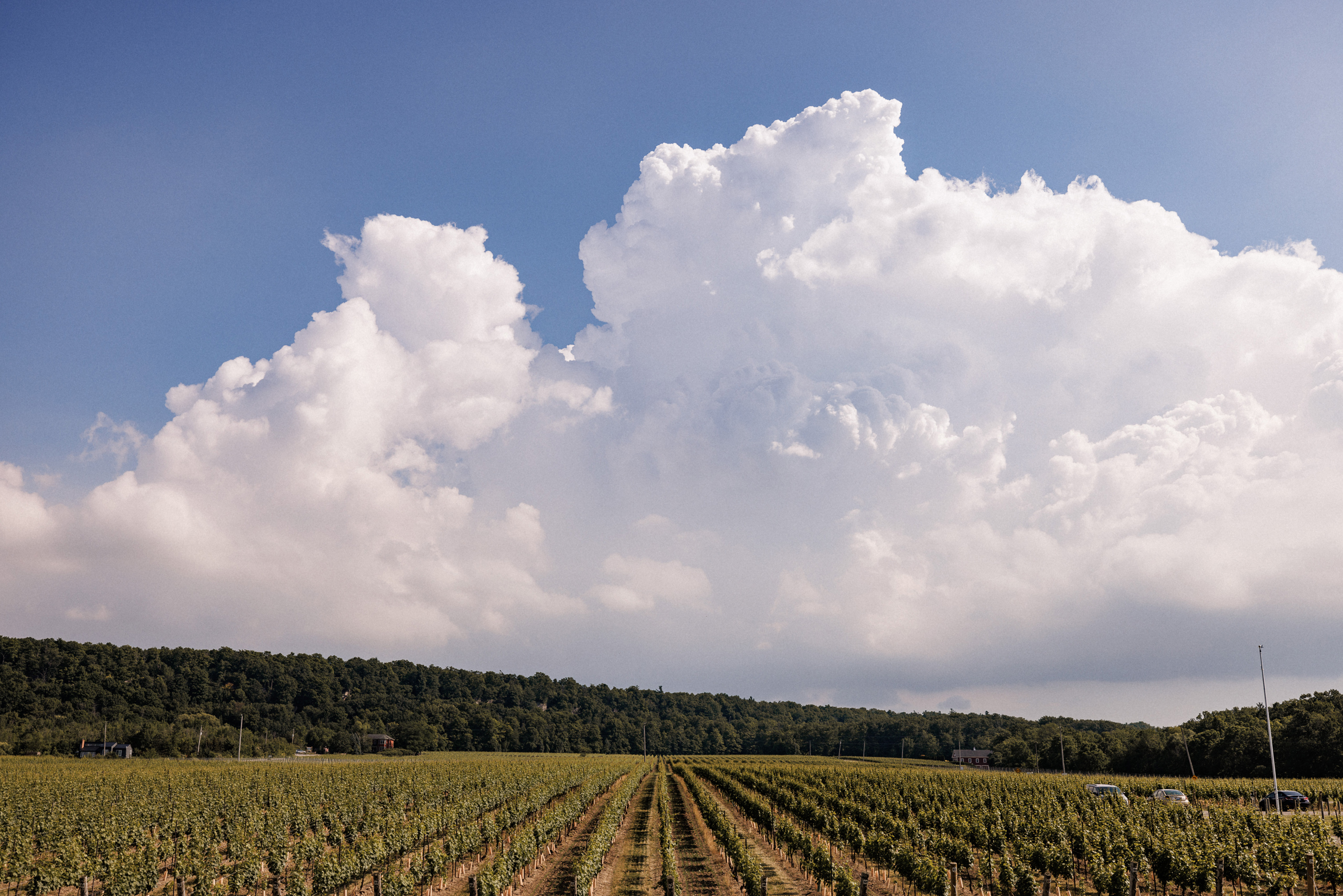 clouds over the vineyard cave spring vineland wedding