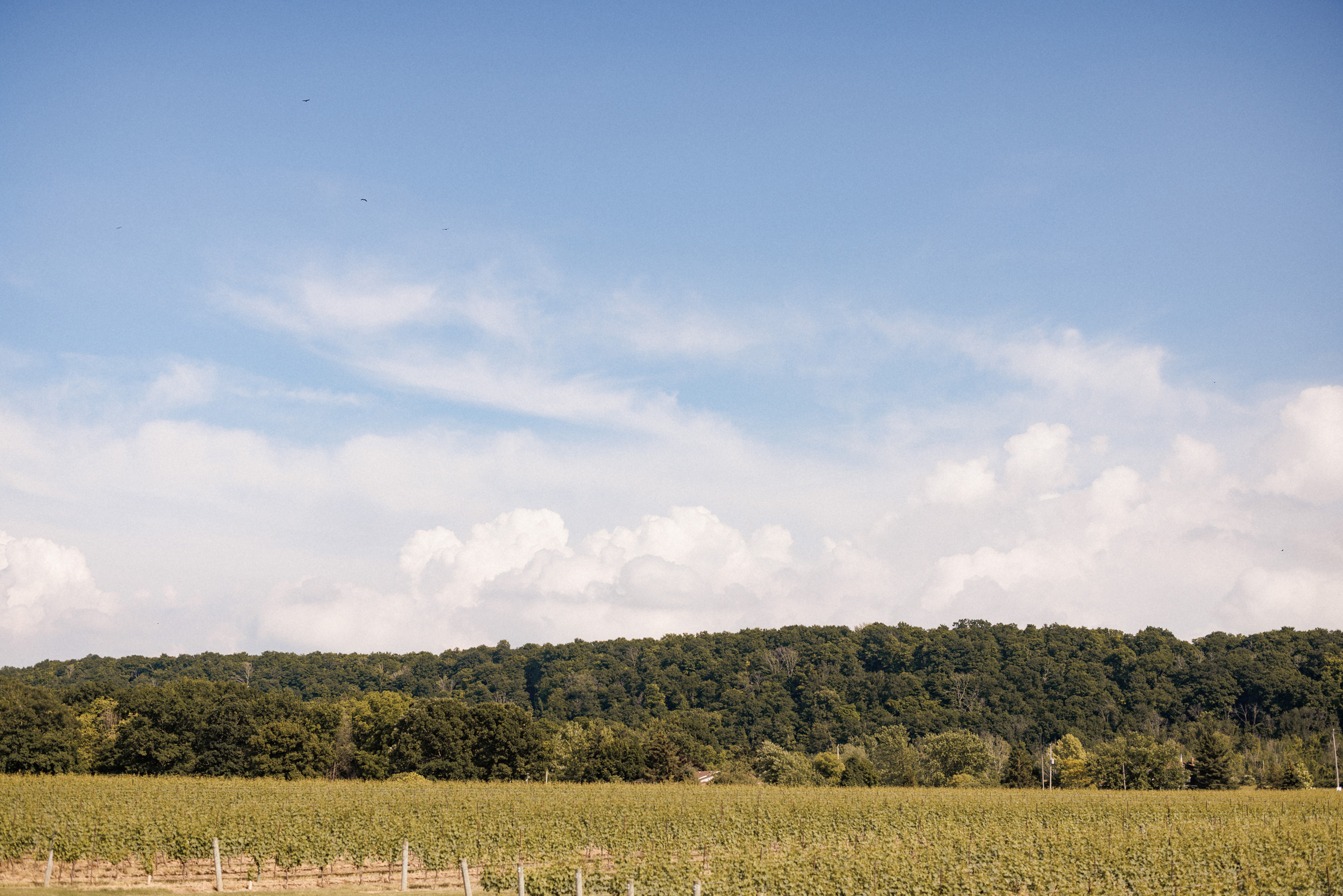 clouds over the vineyard cave spring vineland wedding