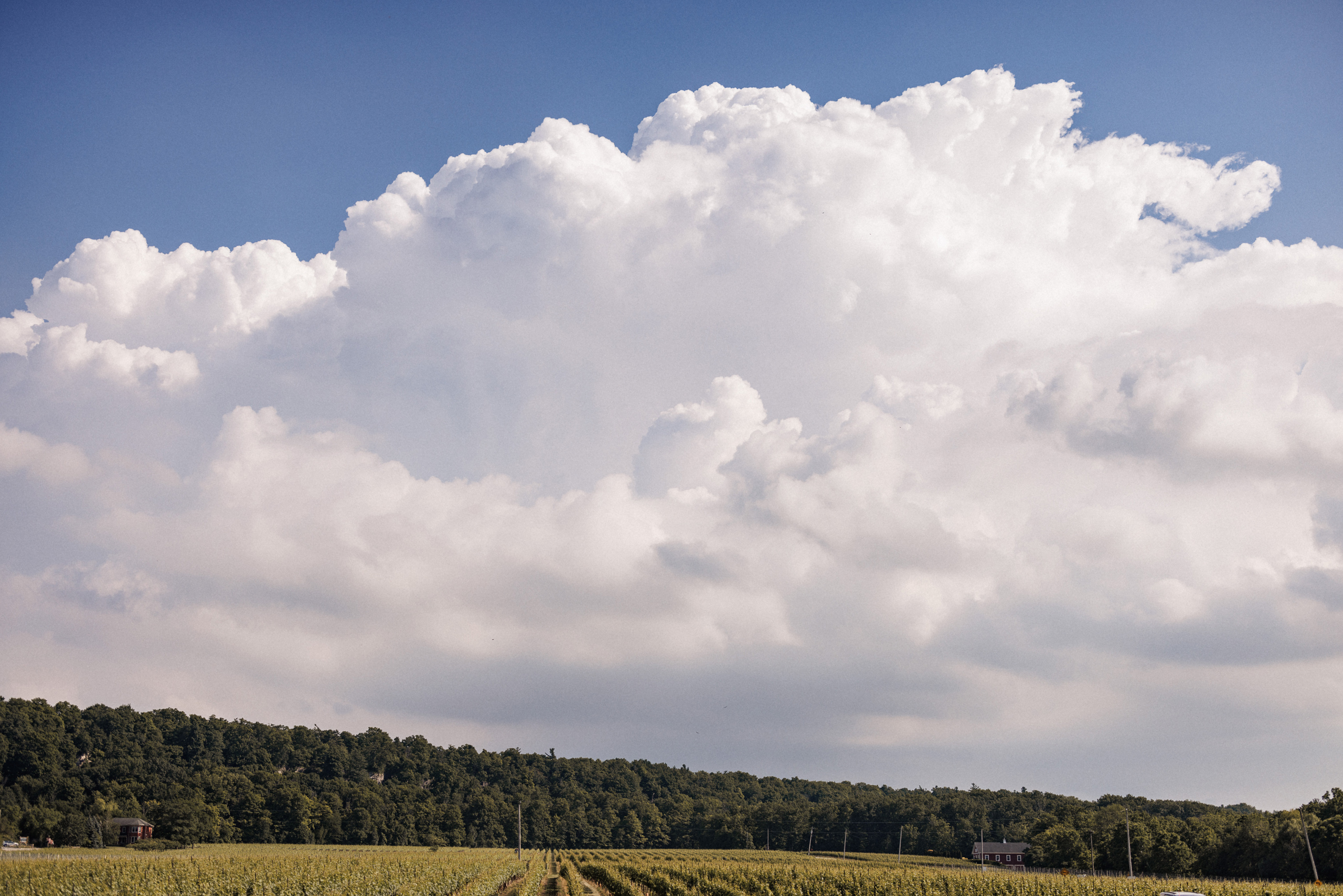 clouds over the vineyard cave spring vineland wedding