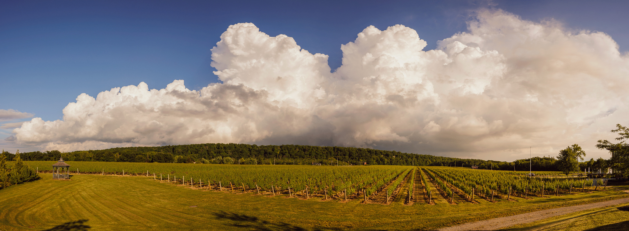 panoramic view of cave spring vineyard property summer