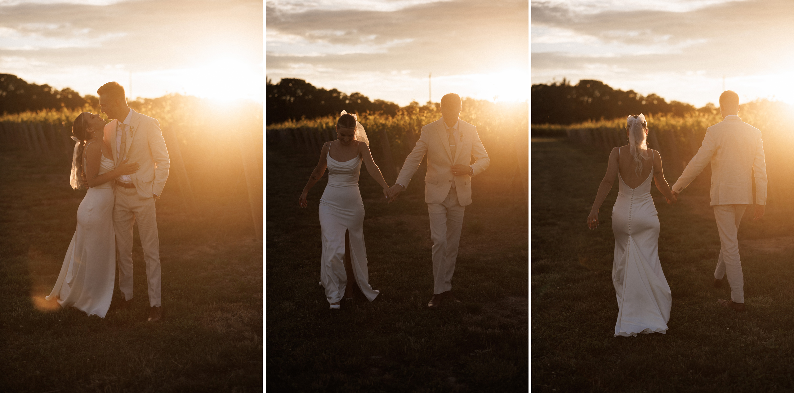 romantic sunset photos bride groom vineyard vineland wedding sum