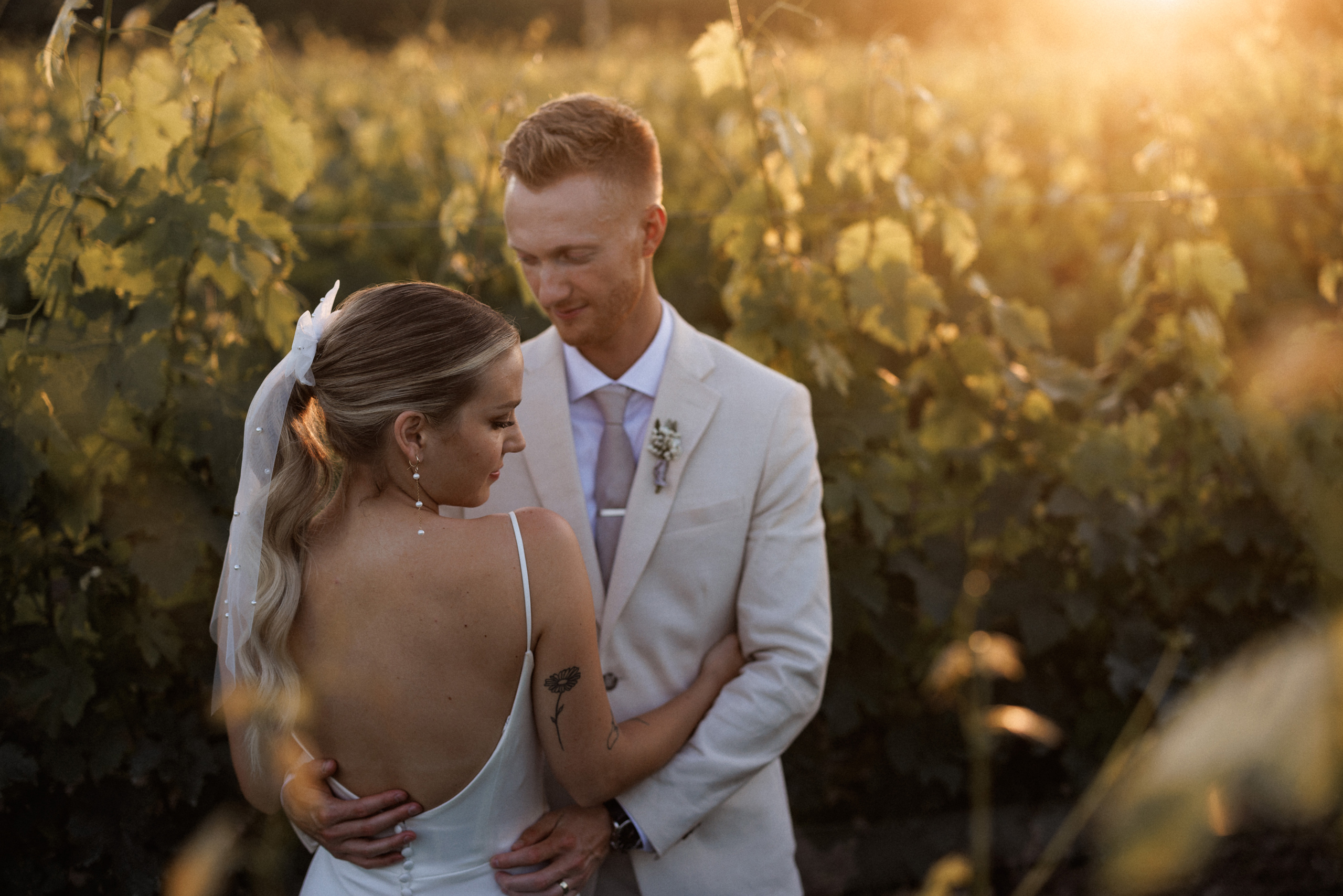 sunset in the vineyard summer wedding cave spring