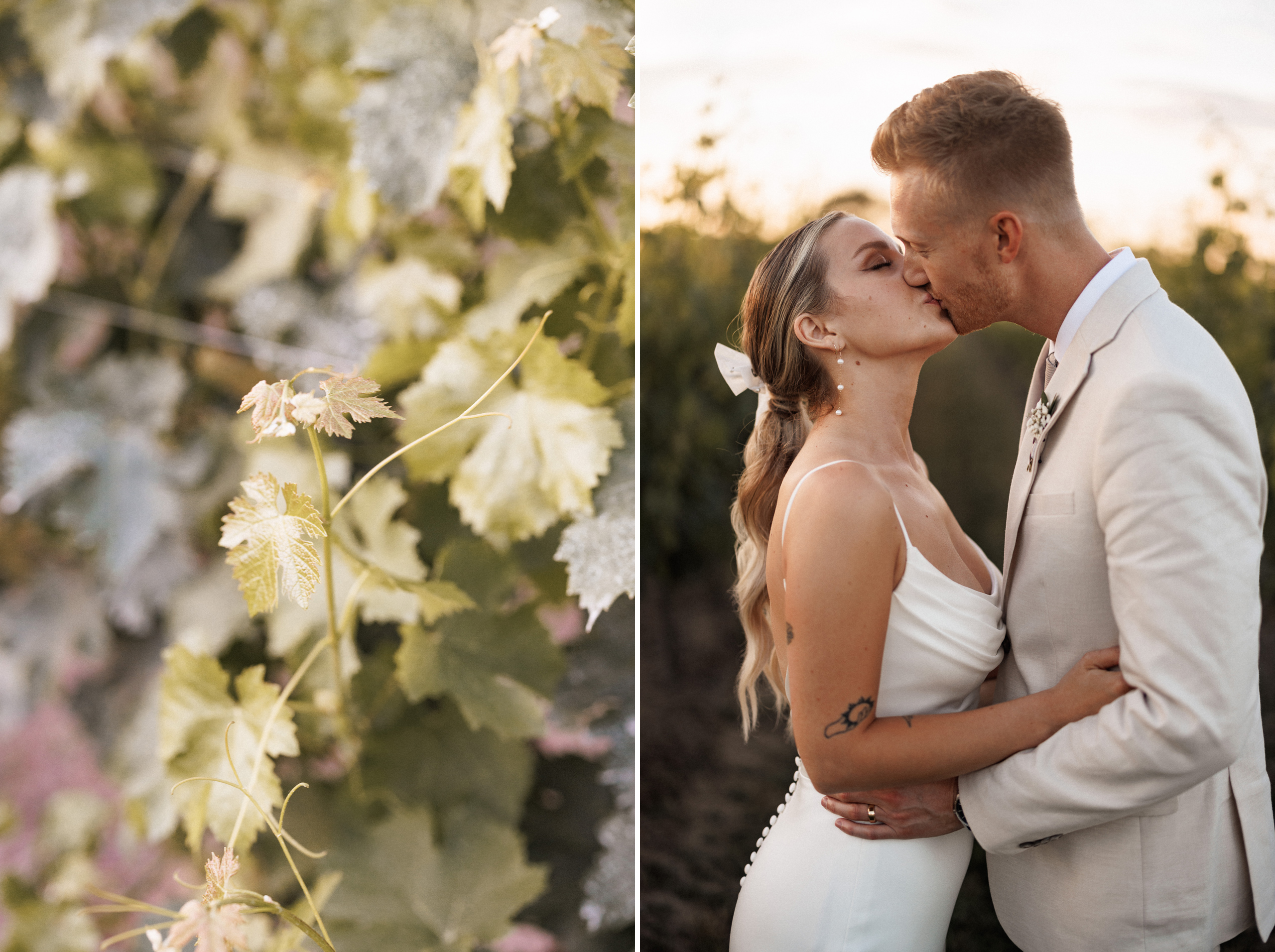 sunset in the vineyard summer wedding cave spring