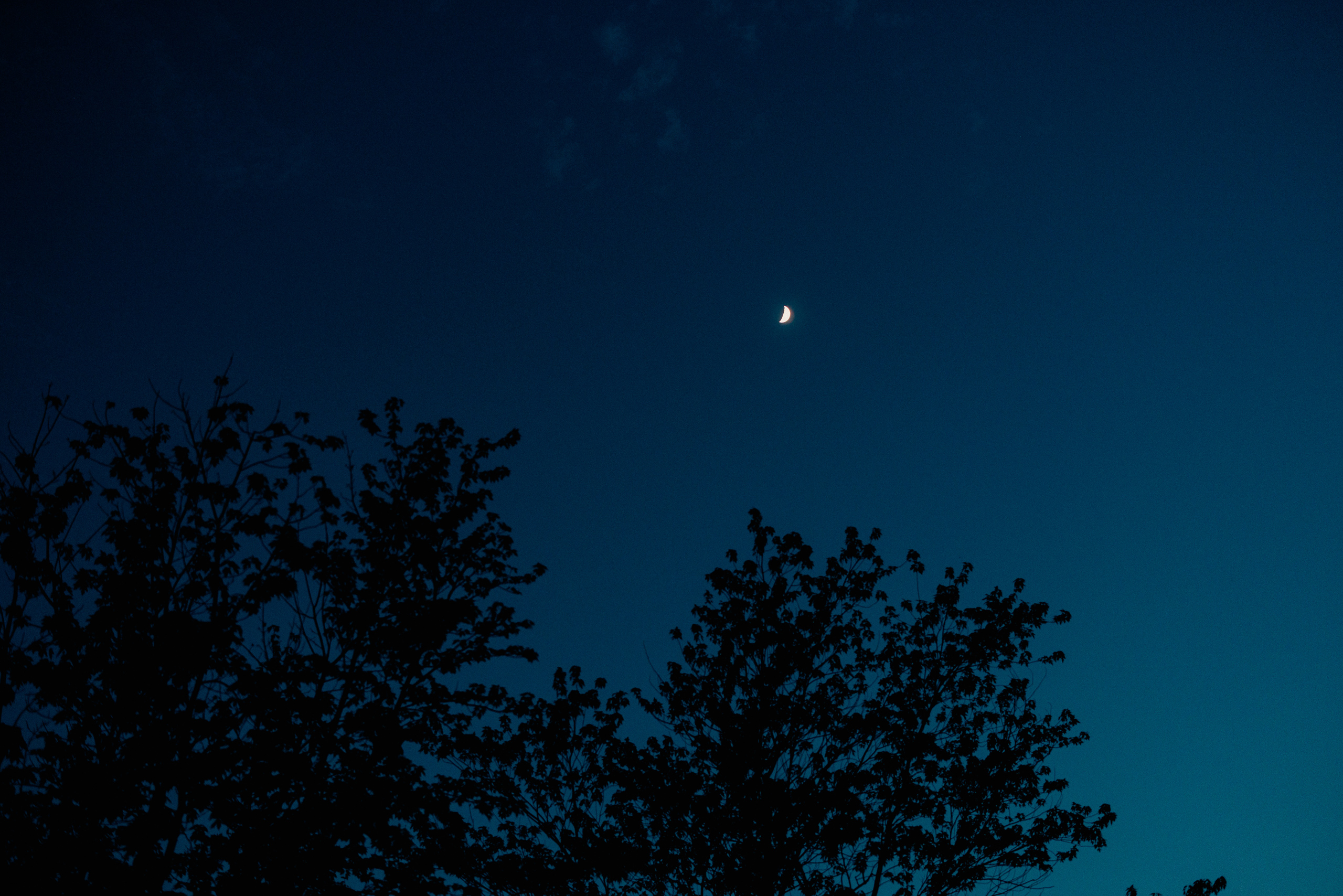 moon in the night sky cave spring vineyard