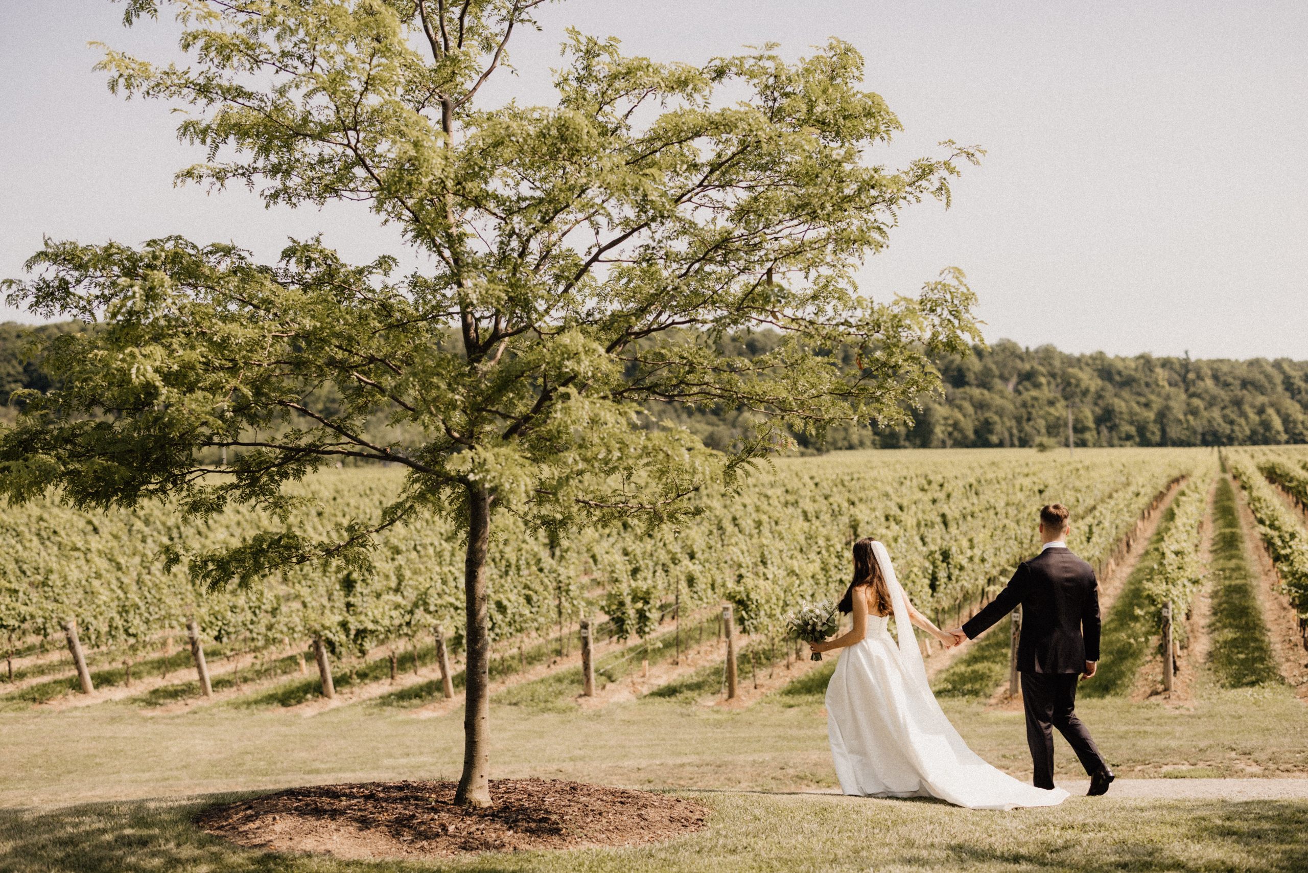 cave spring vineyard bride groom summer wedding walk