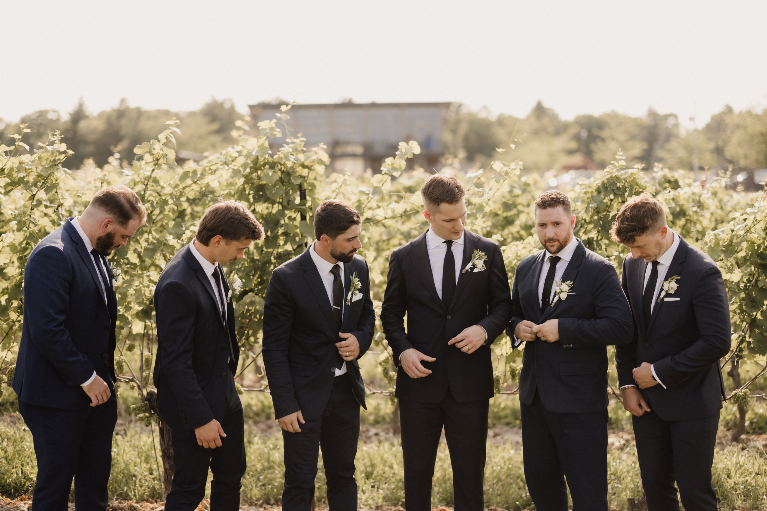 groomsmen wedding at cave spring vineyard summer