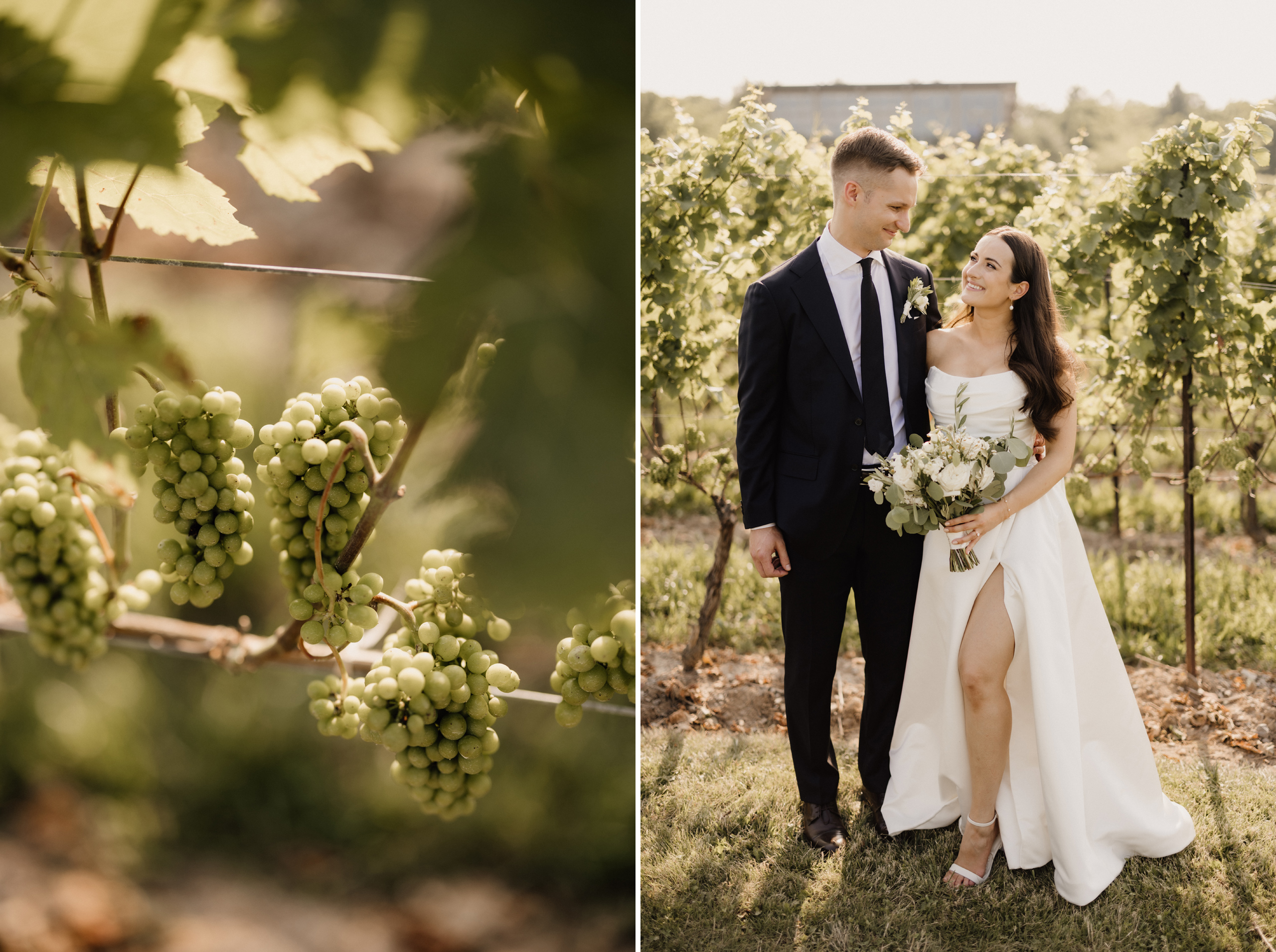 summer vineyard wedding niagara photographer