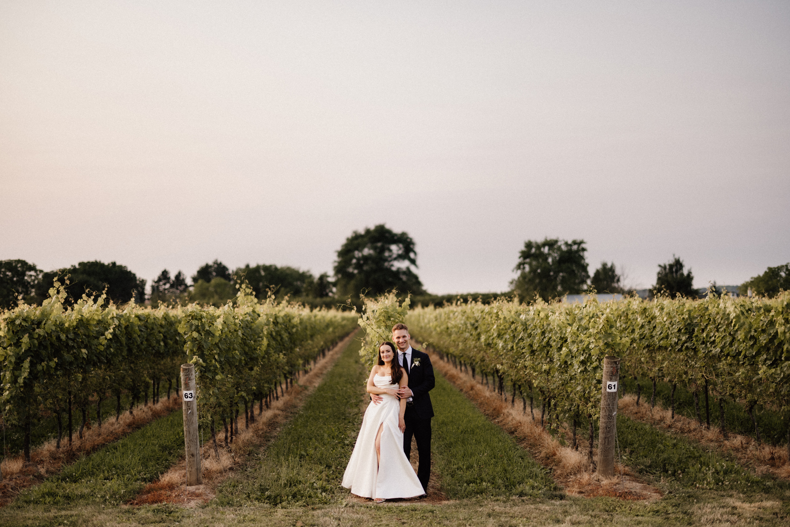 sunset vineyard portrait wedding cave spring afterglow images