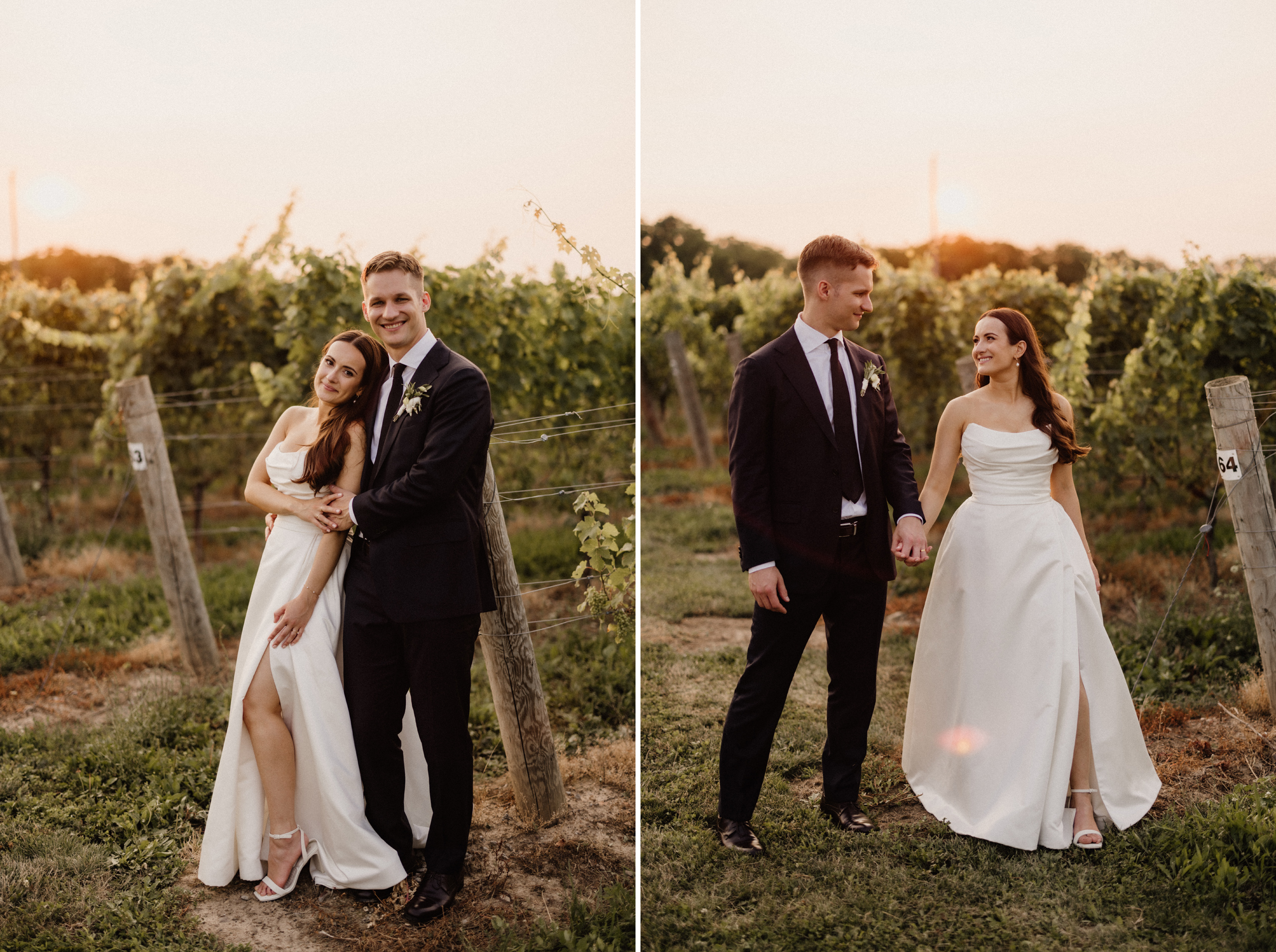 sunset vineyard portrait wedding cave spring afterglow images