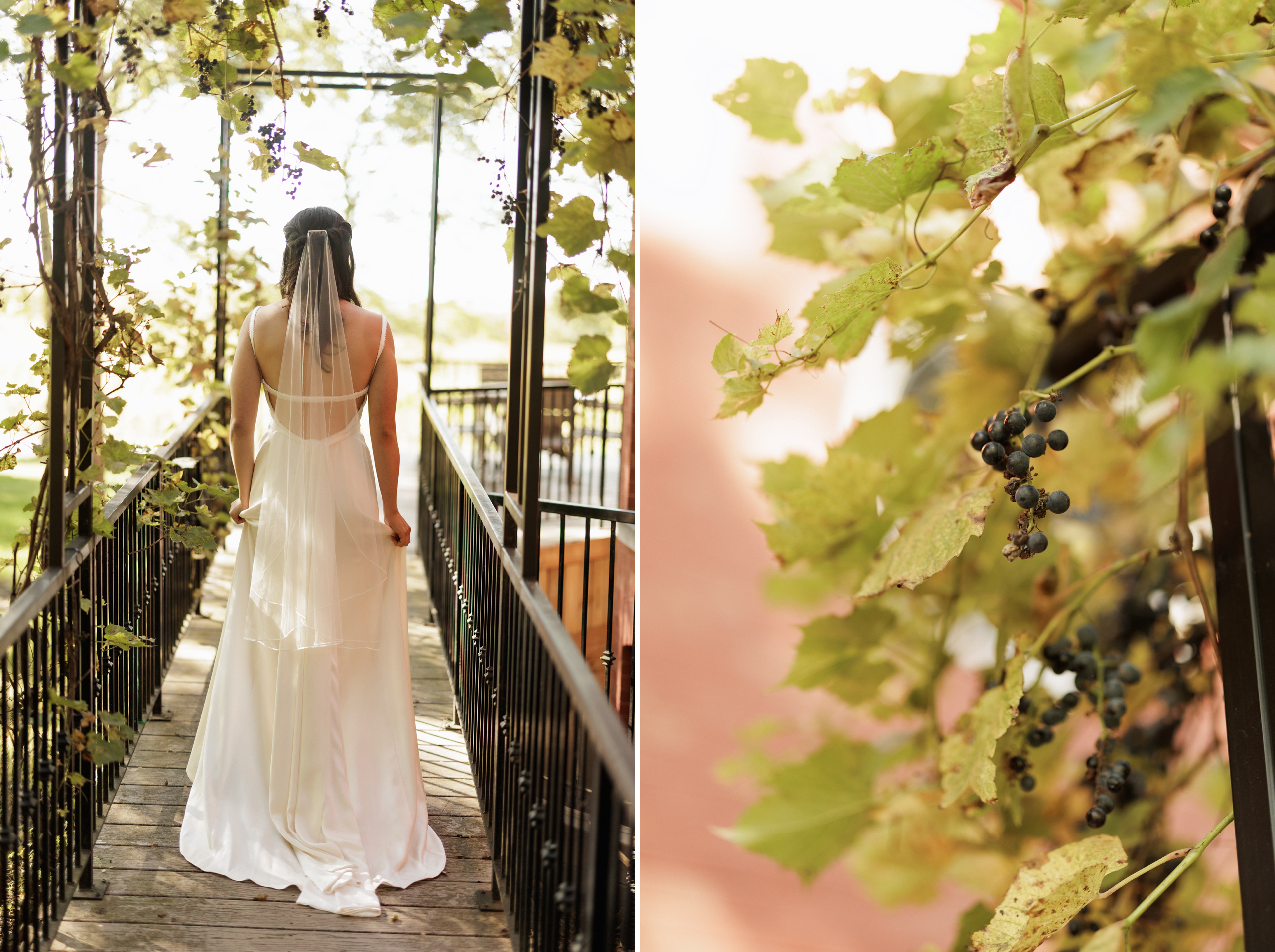 bride portrait autumn wedding cave spring estate house grape vin