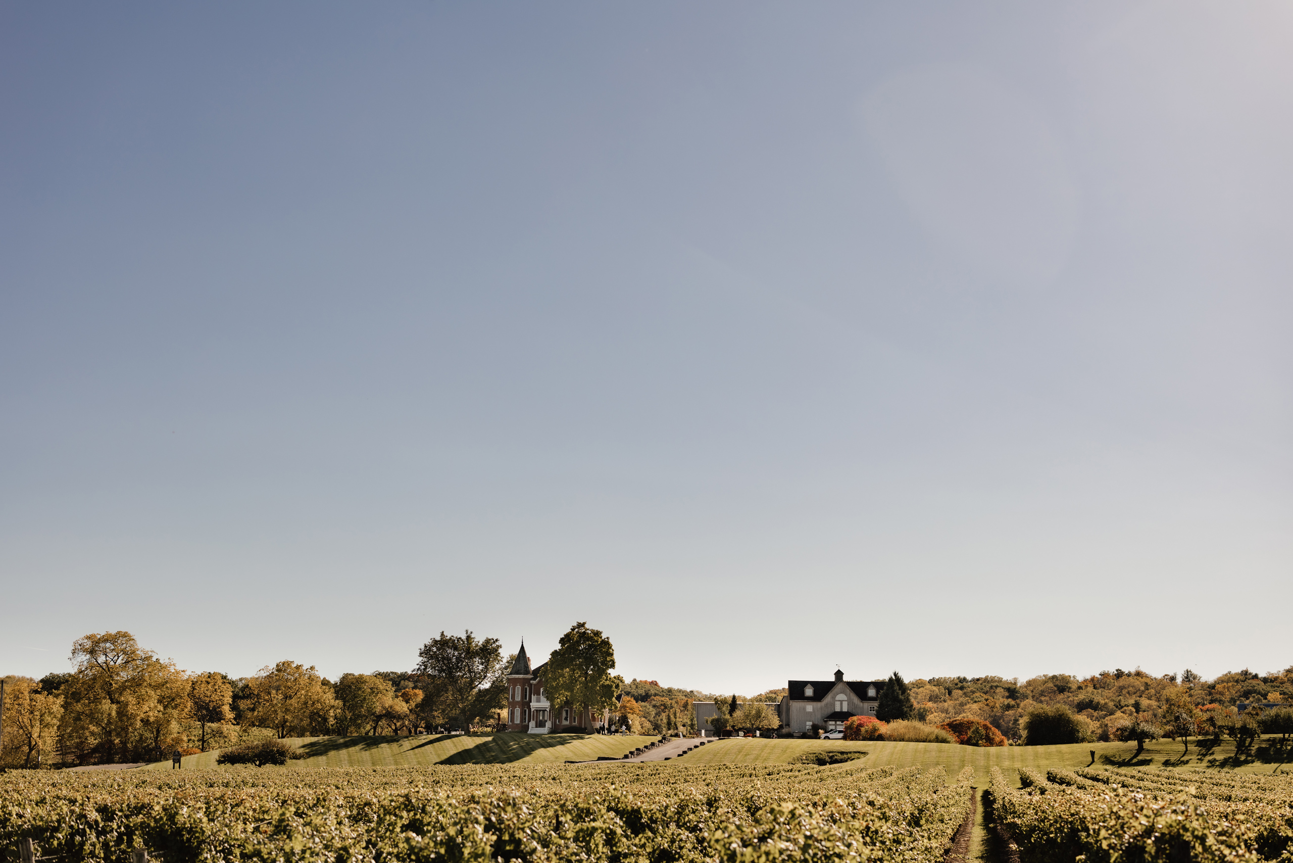 wide view of peninsula ridge winery and vineyard beamsville