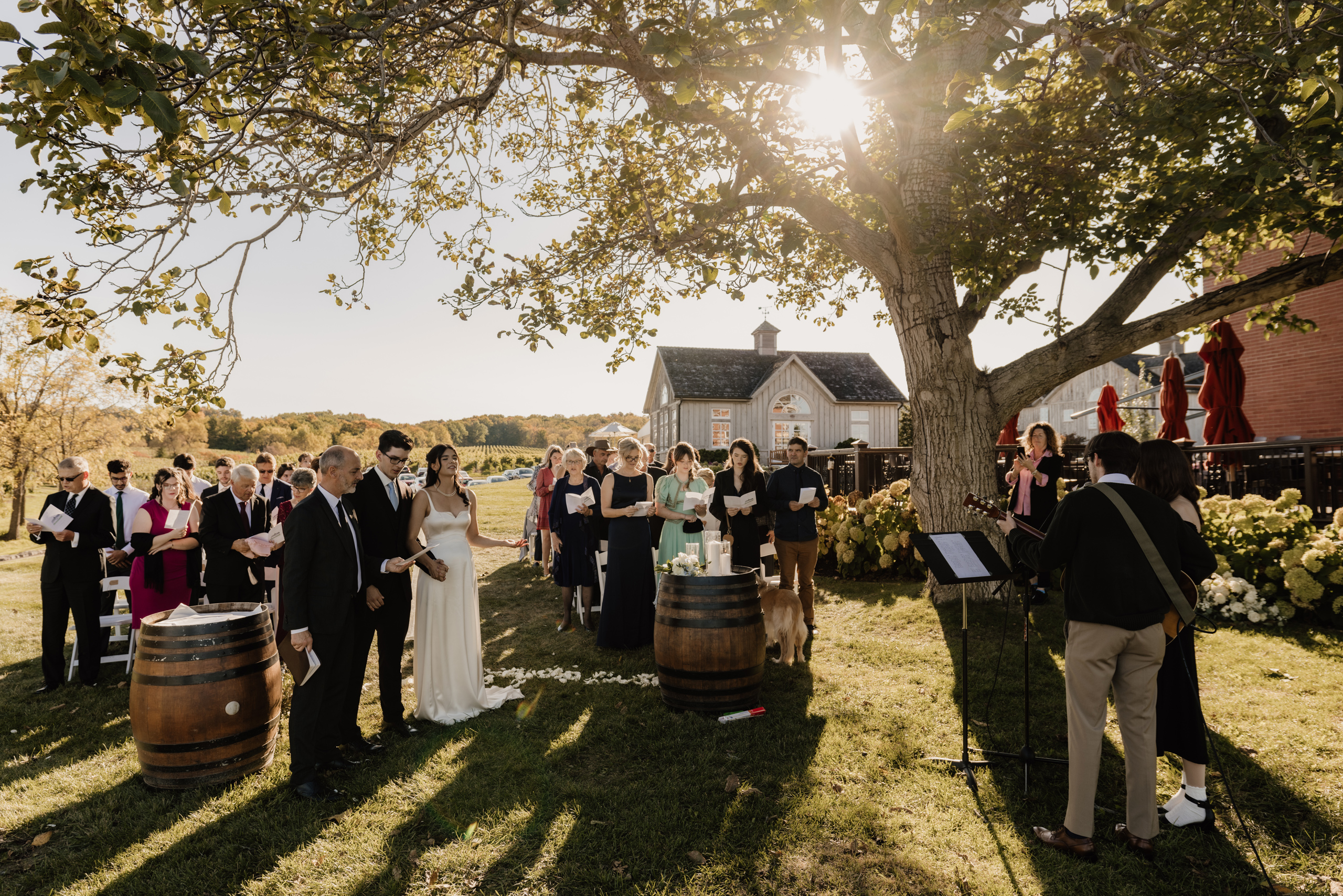 outdoor wedding ceremony under big tree peninsula ridge estates