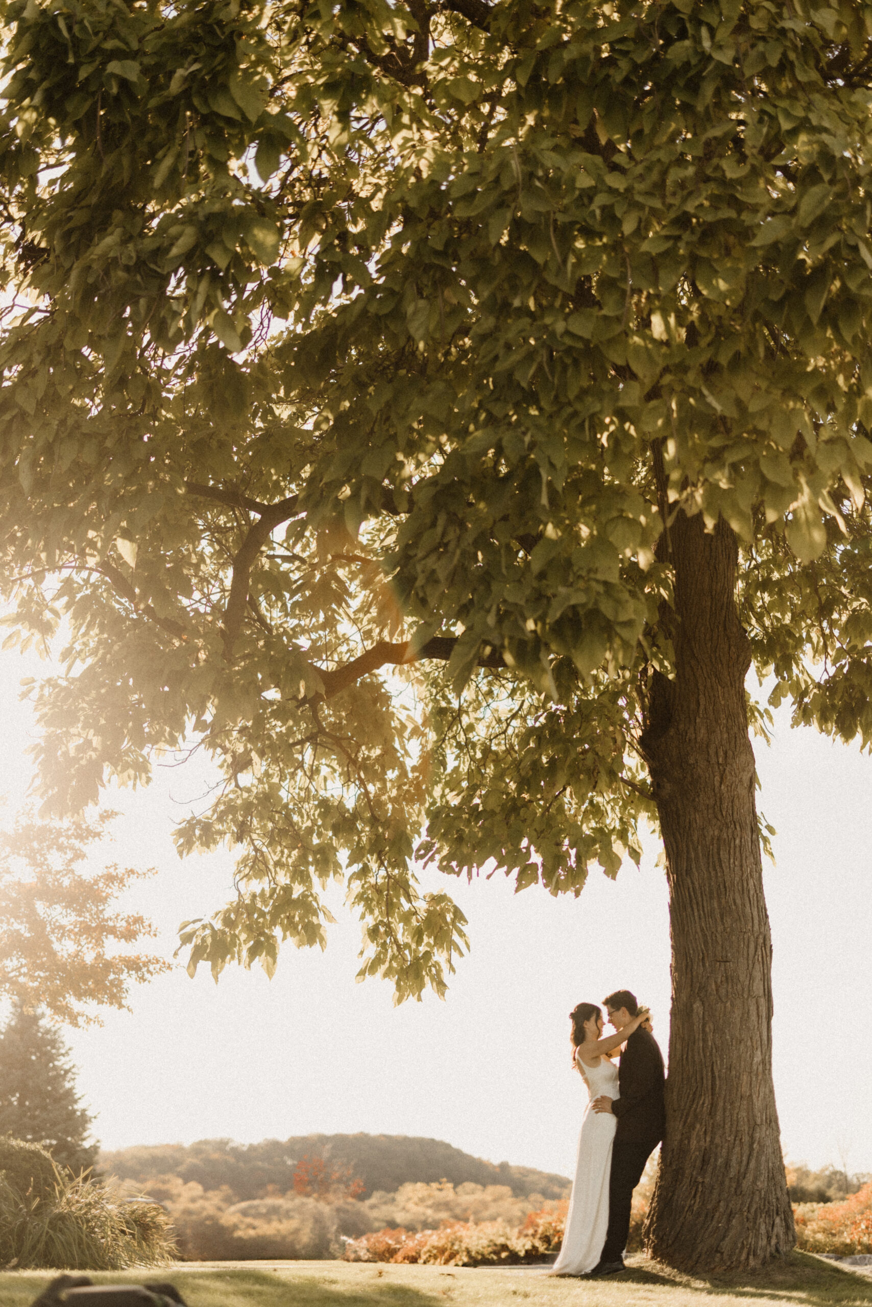 fairytale wedding sunset under tree peninsula ridge winery after
