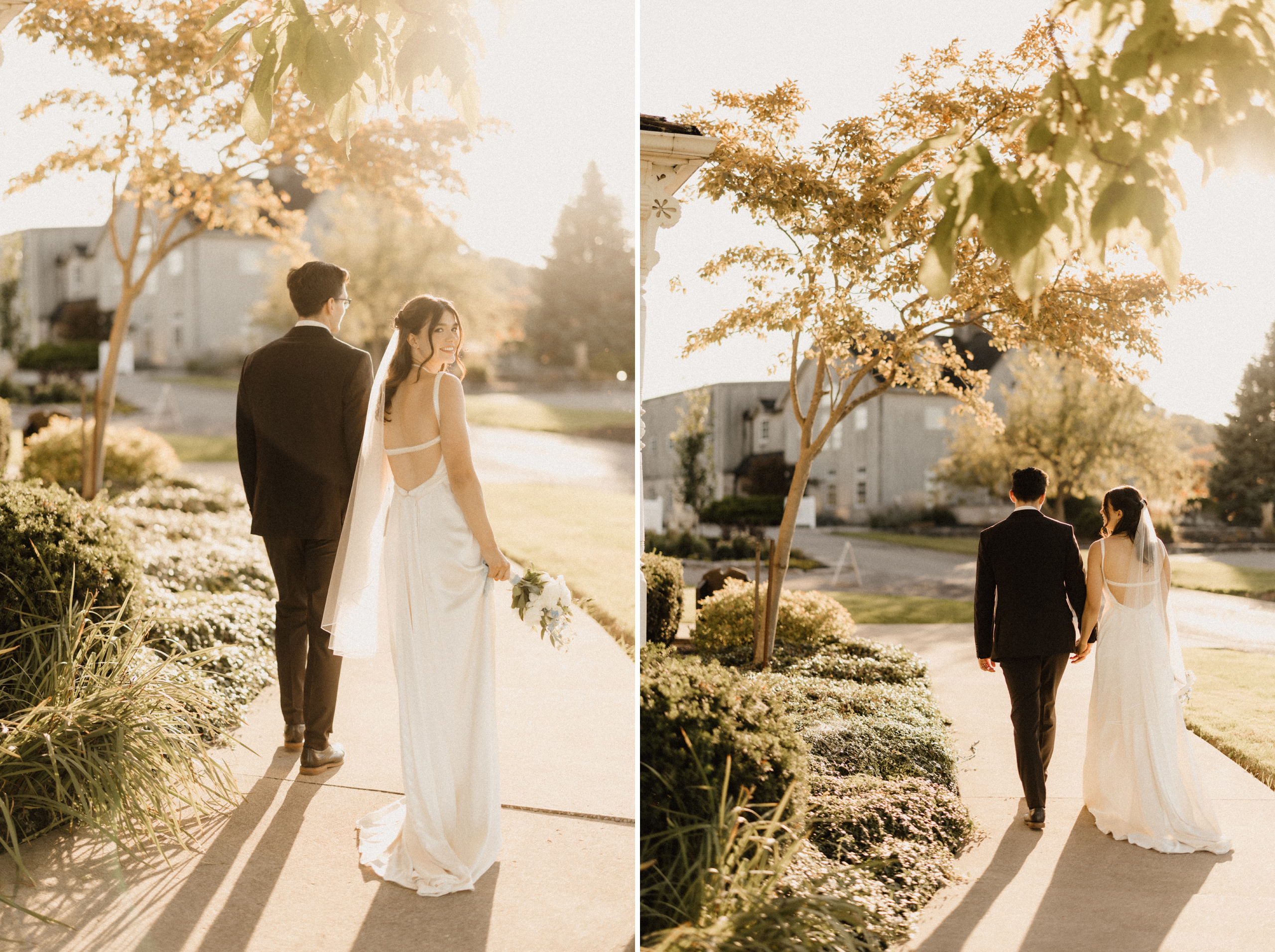 fairytale wedding sunset under tree peninsula ridge winery after