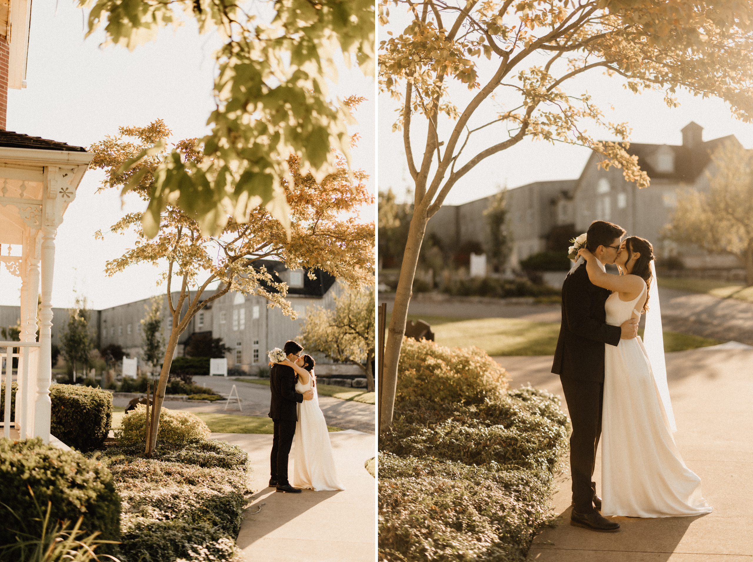 fairytale wedding sunset under tree peninsula ridge winery after