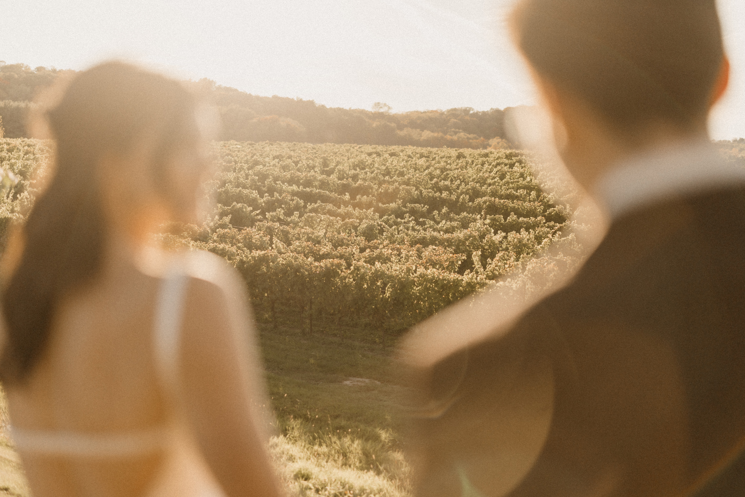 romantic wedding photography vineyard sunset autumn fall peninsu