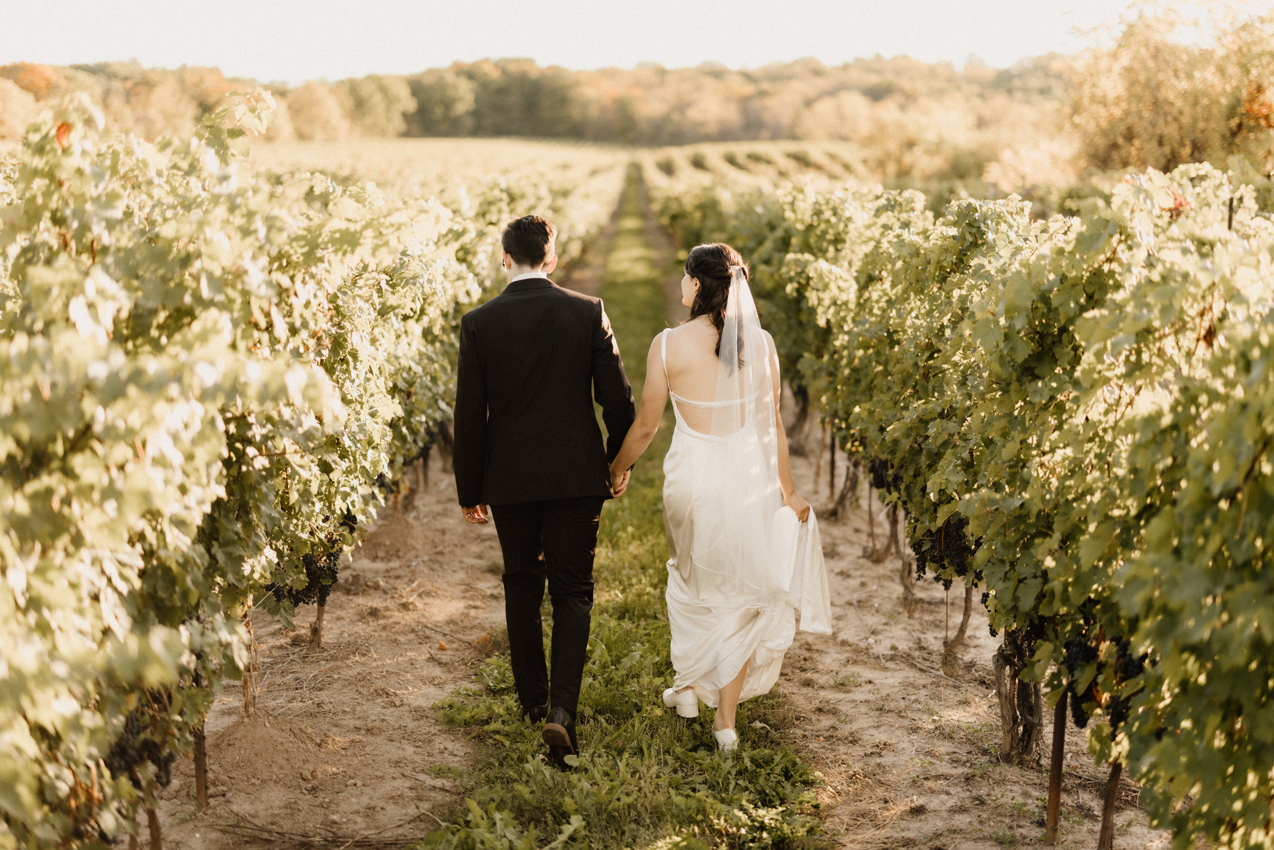 beautiful romantic sunset wedding photography autumn fall vineya