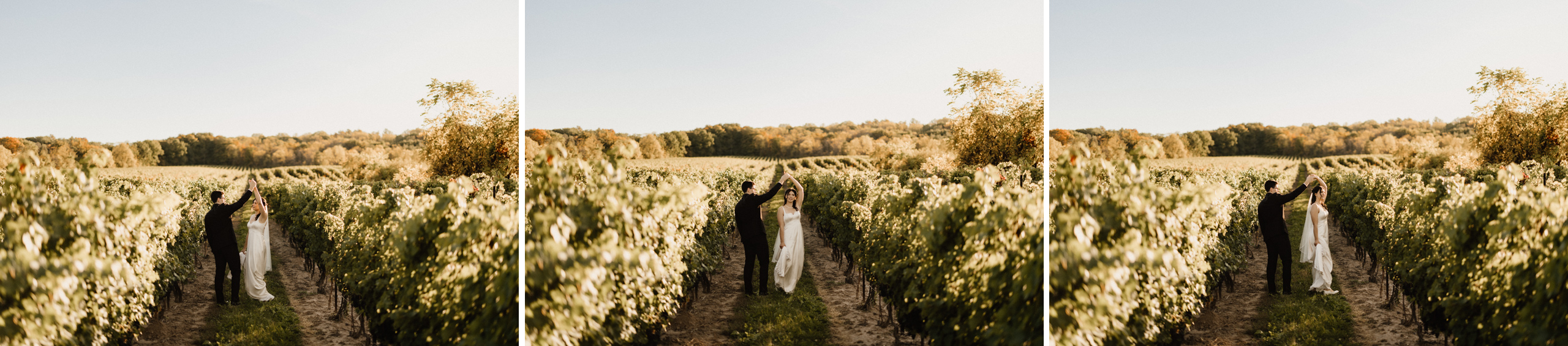 beautiful romantic sunset wedding photography autumn fall vineya
