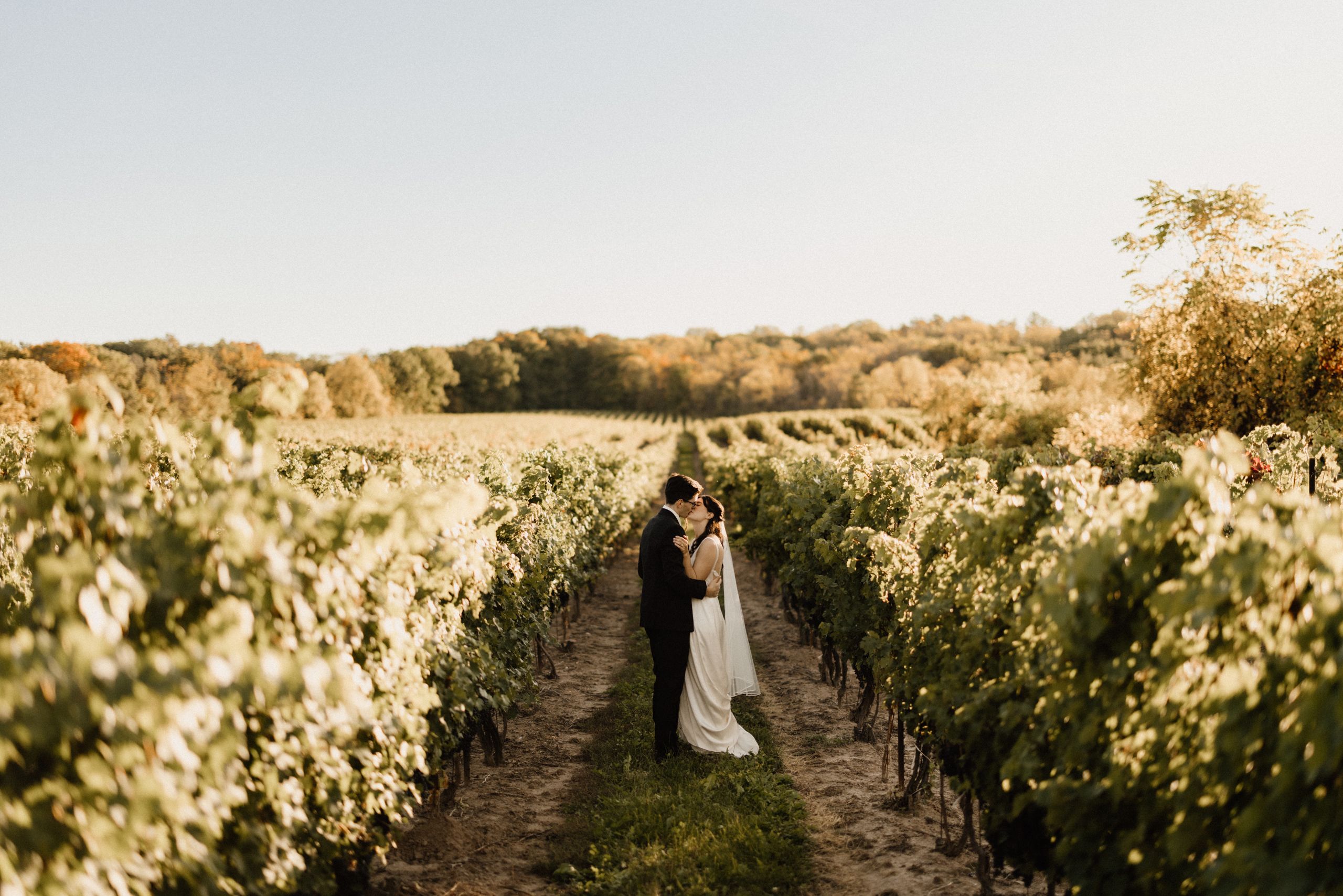 beautiful romantic sunset wedding photography autumn fall vineya