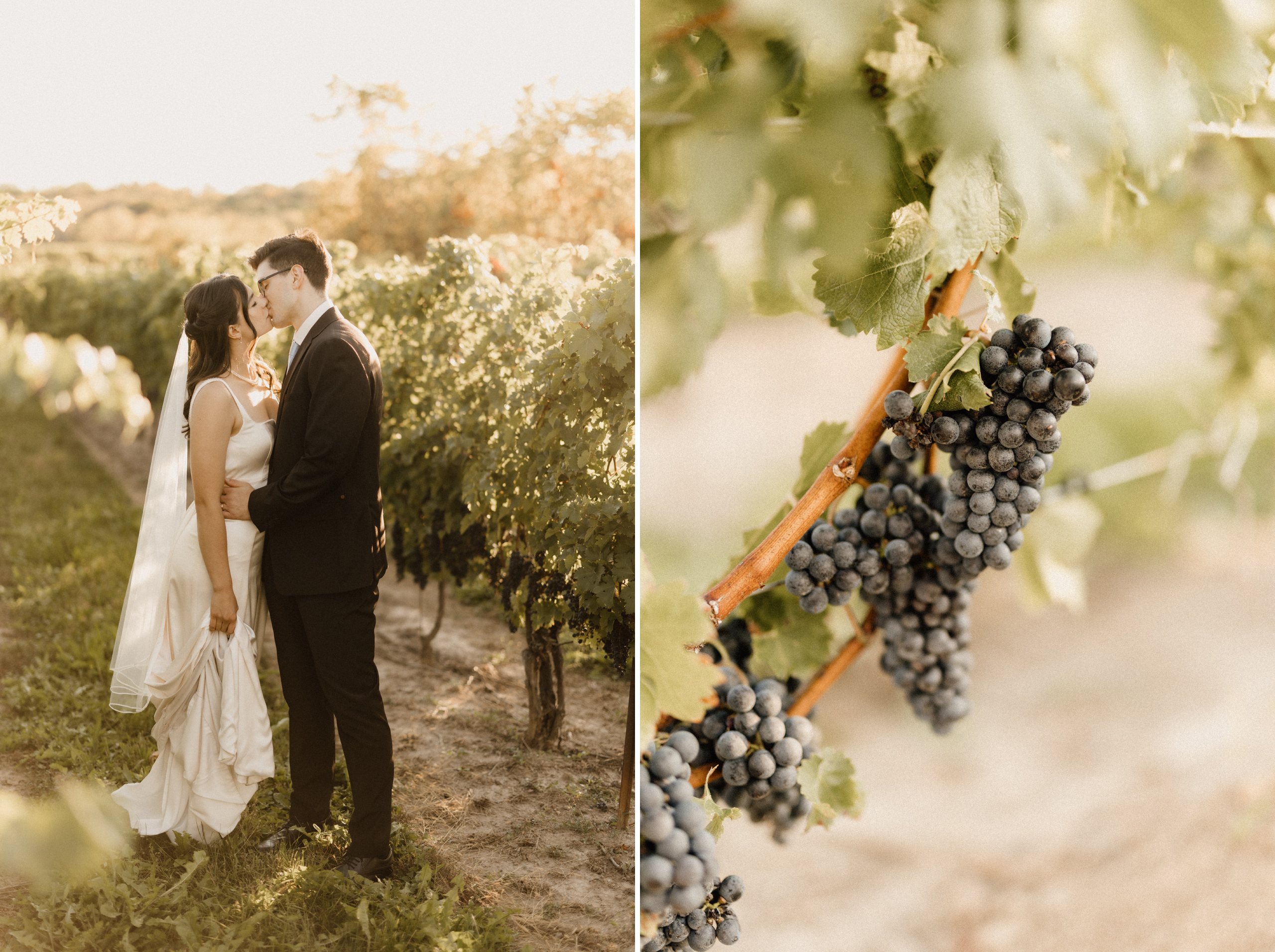 beautiful romantic sunset wedding photography autumn fall vineya