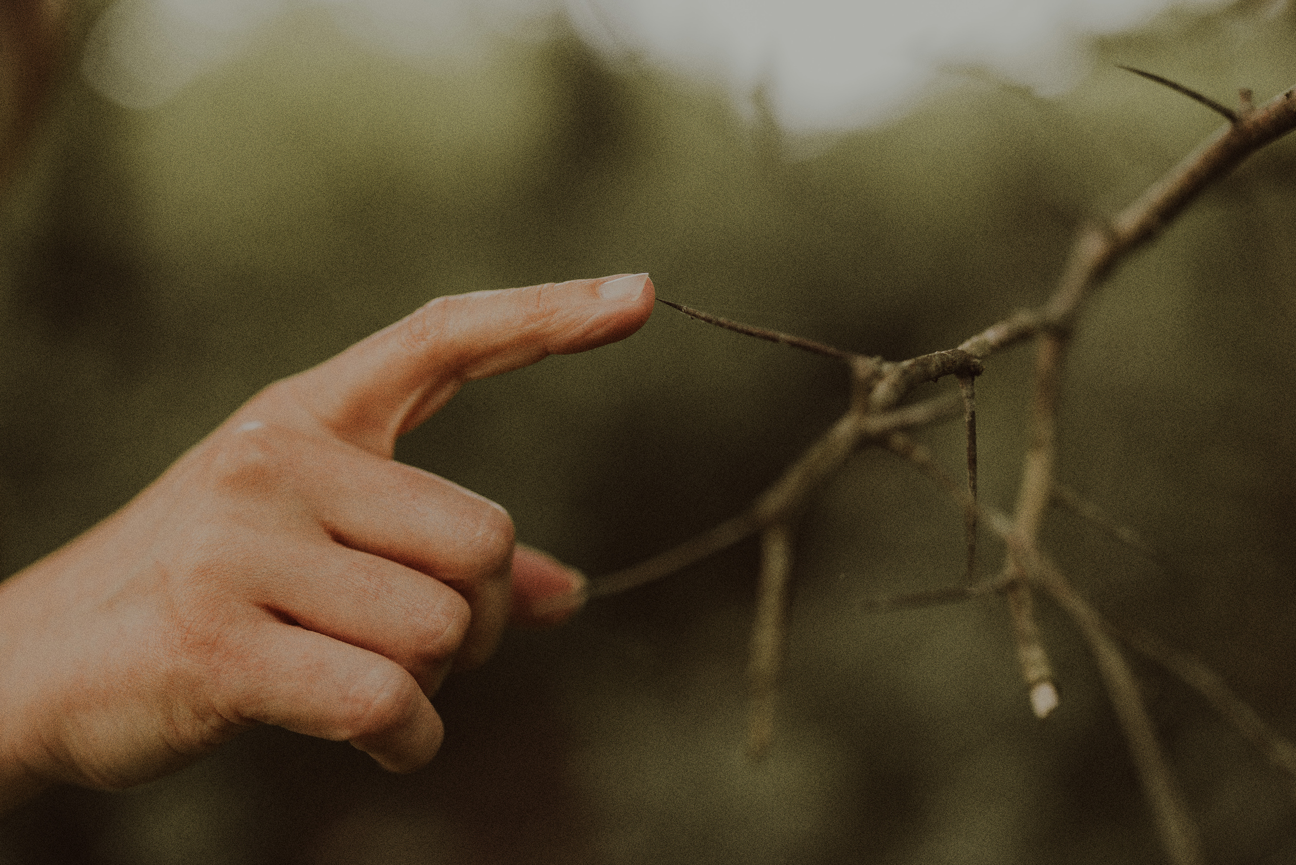 hawthorn needle finger prick film photographer