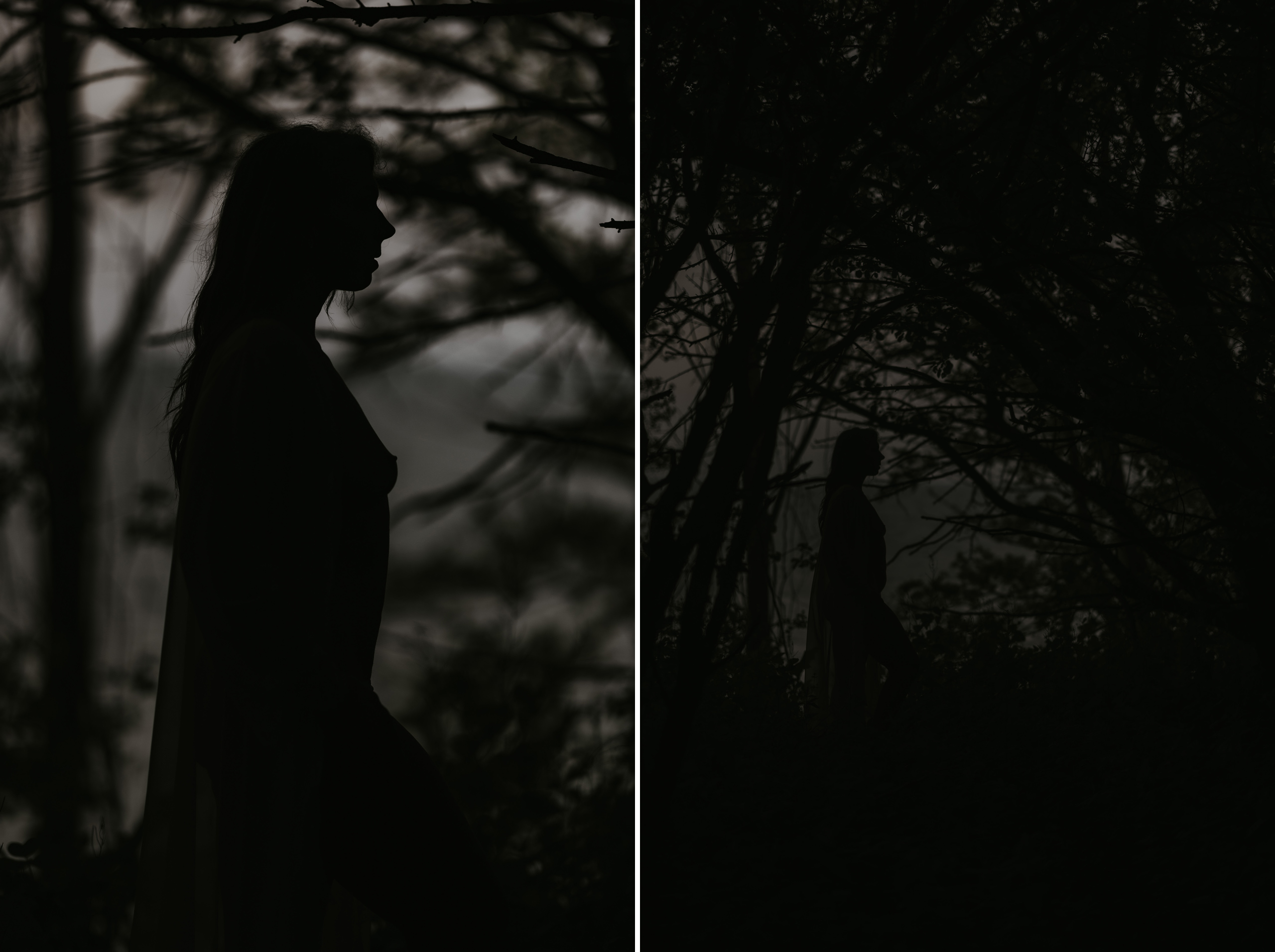 black white film silhouette forest outdoor boudoir