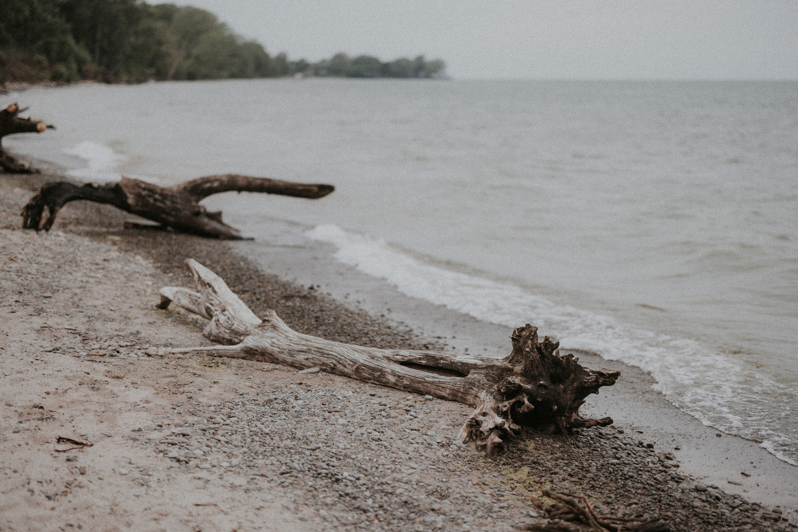 foggy beach niagara