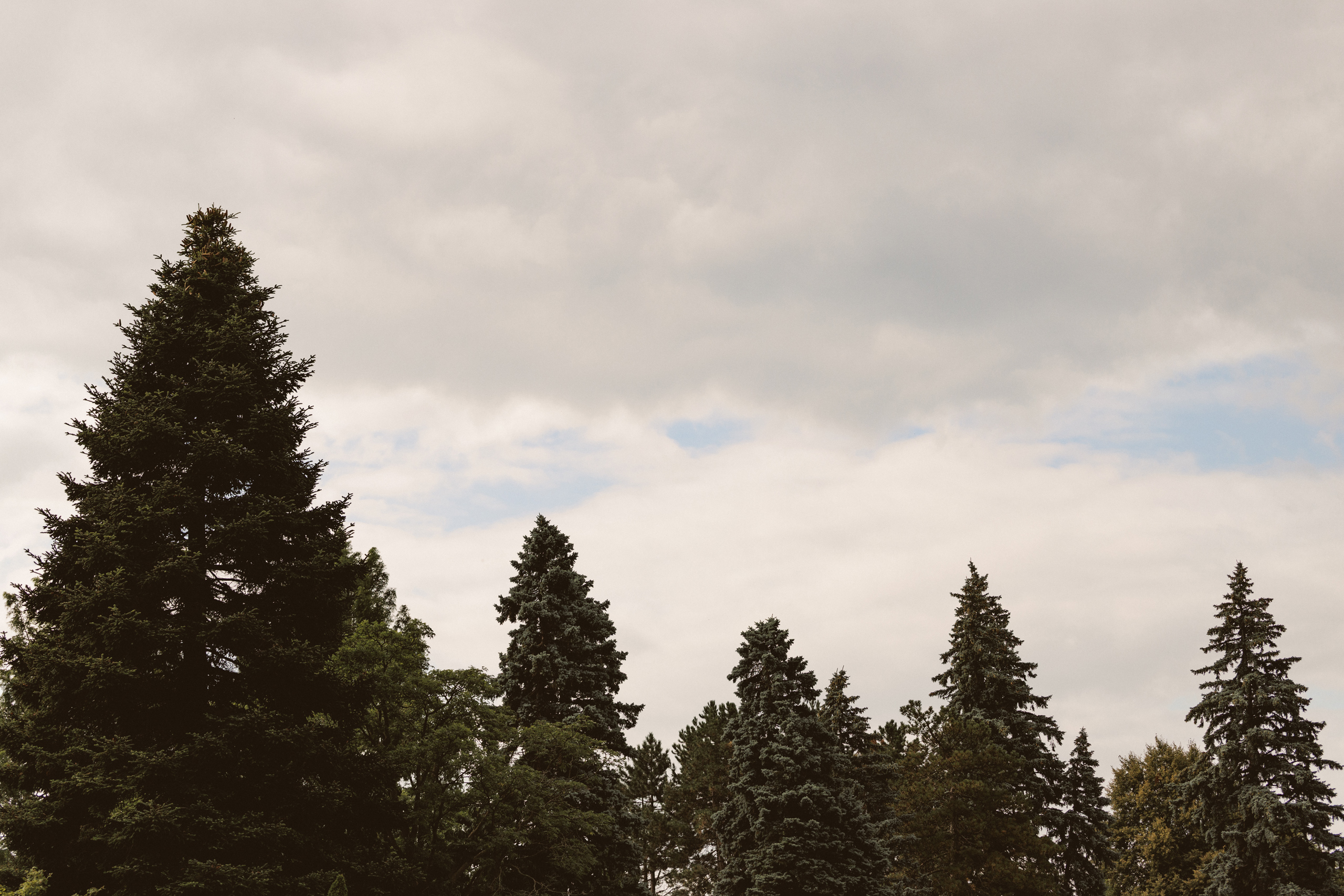 Niagara surprise proposal garden photography couple
