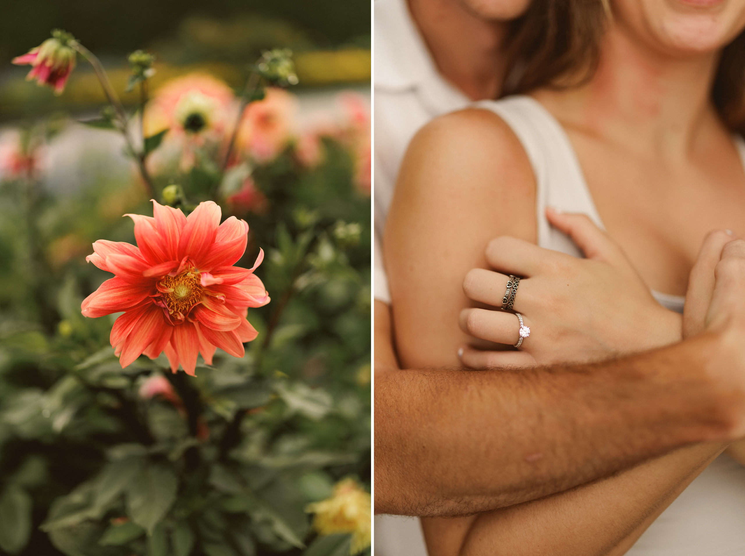 Niagara surprise proposal garden photography couple