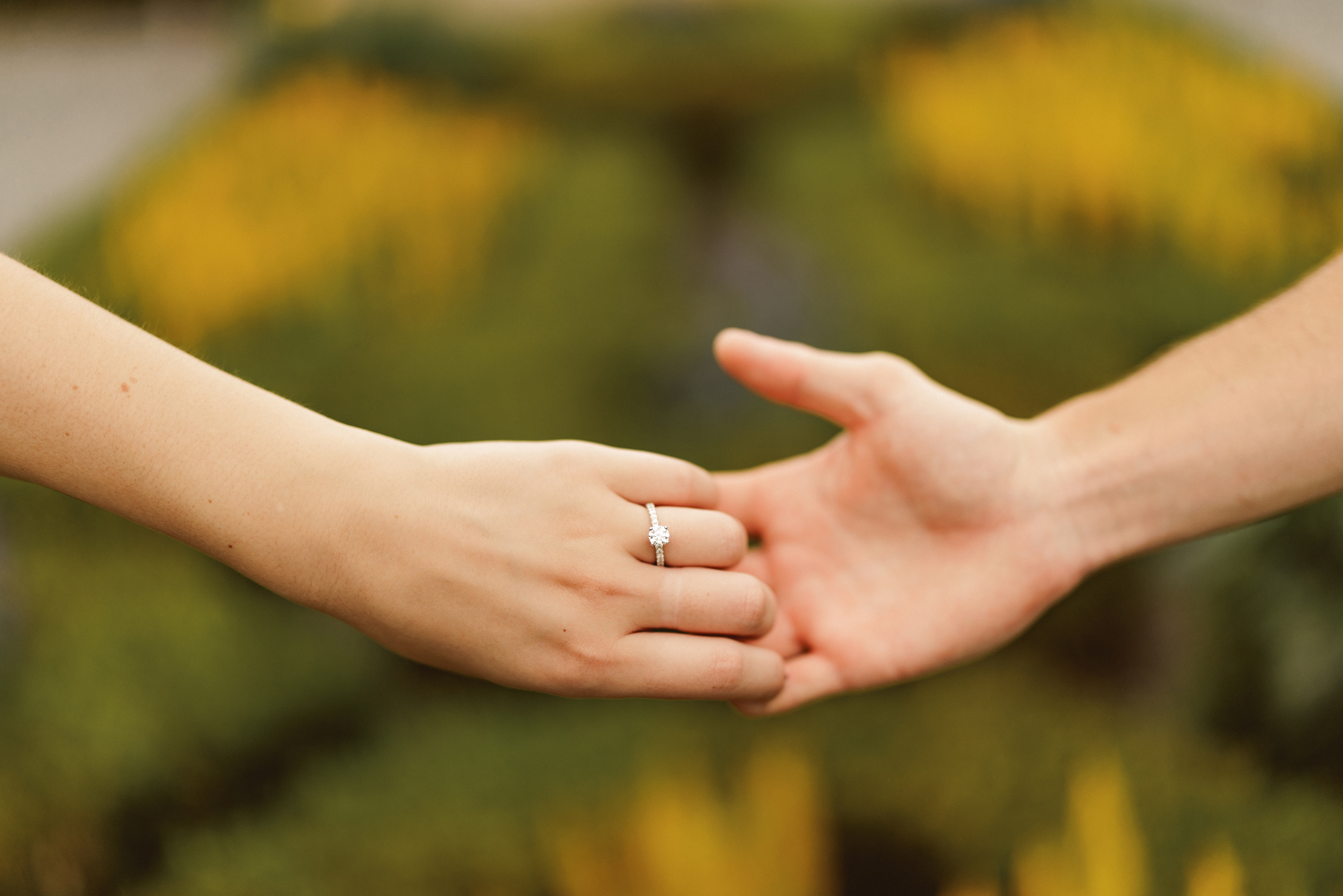 Niagara surprise proposal garden photography couple