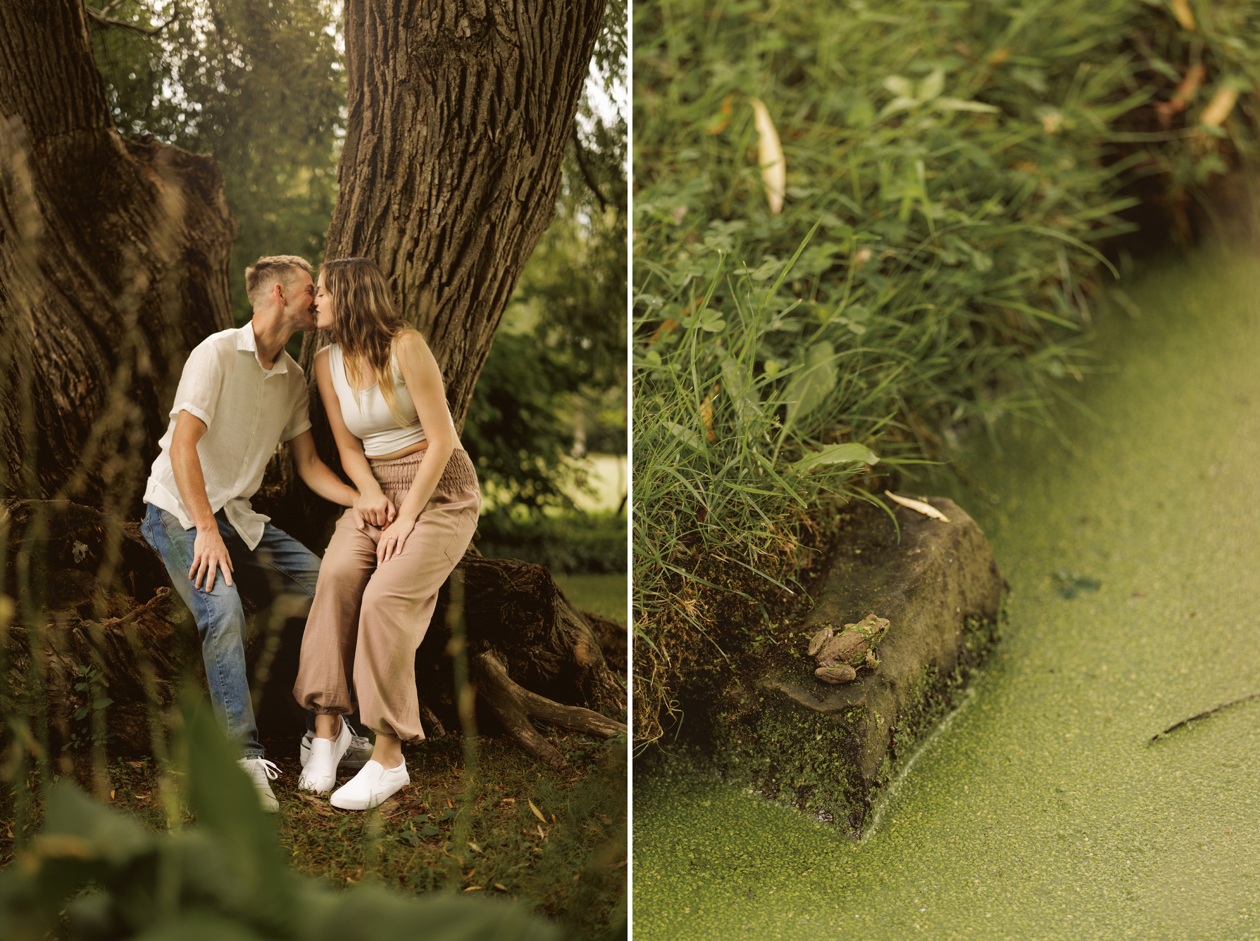Niagara surprise proposal garden photography couple