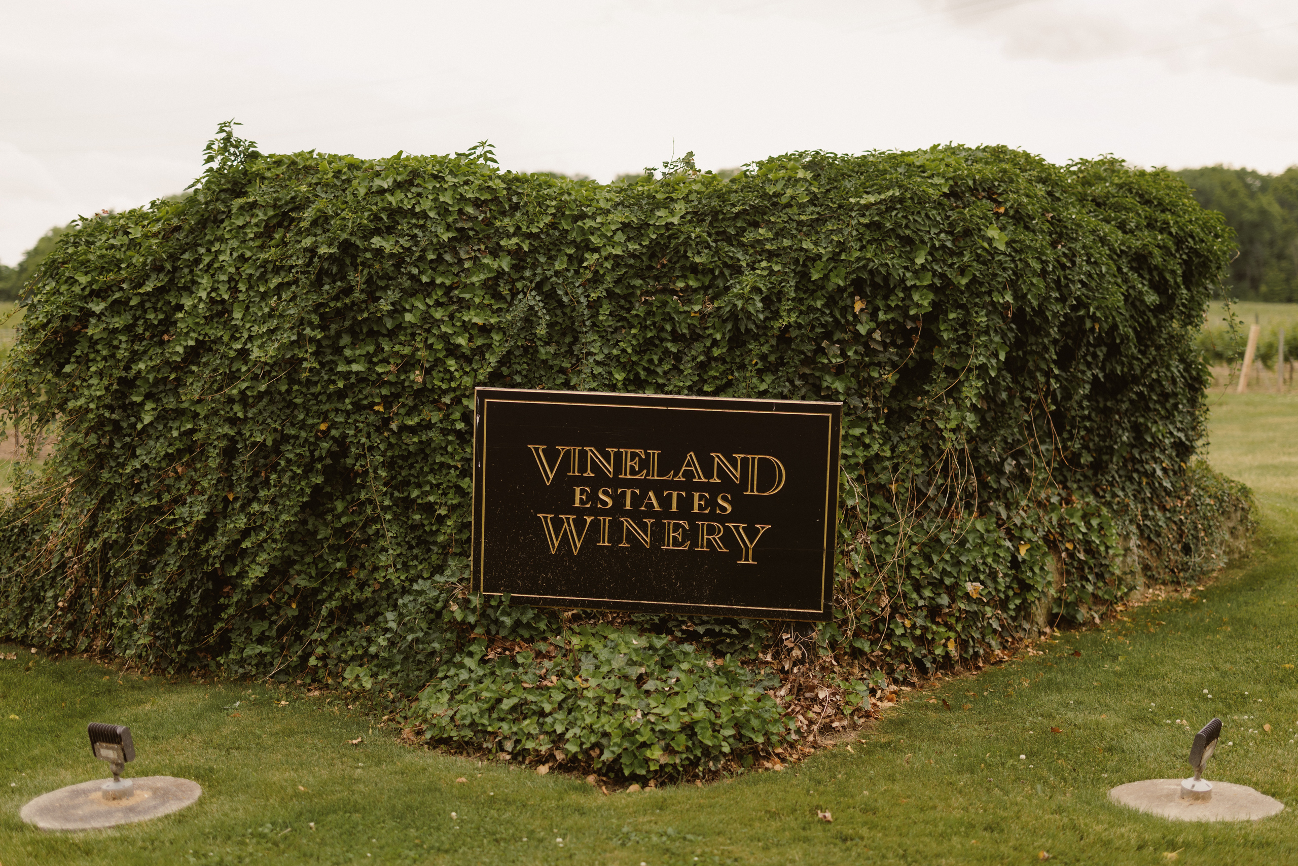 entrance sign vineland estates winery