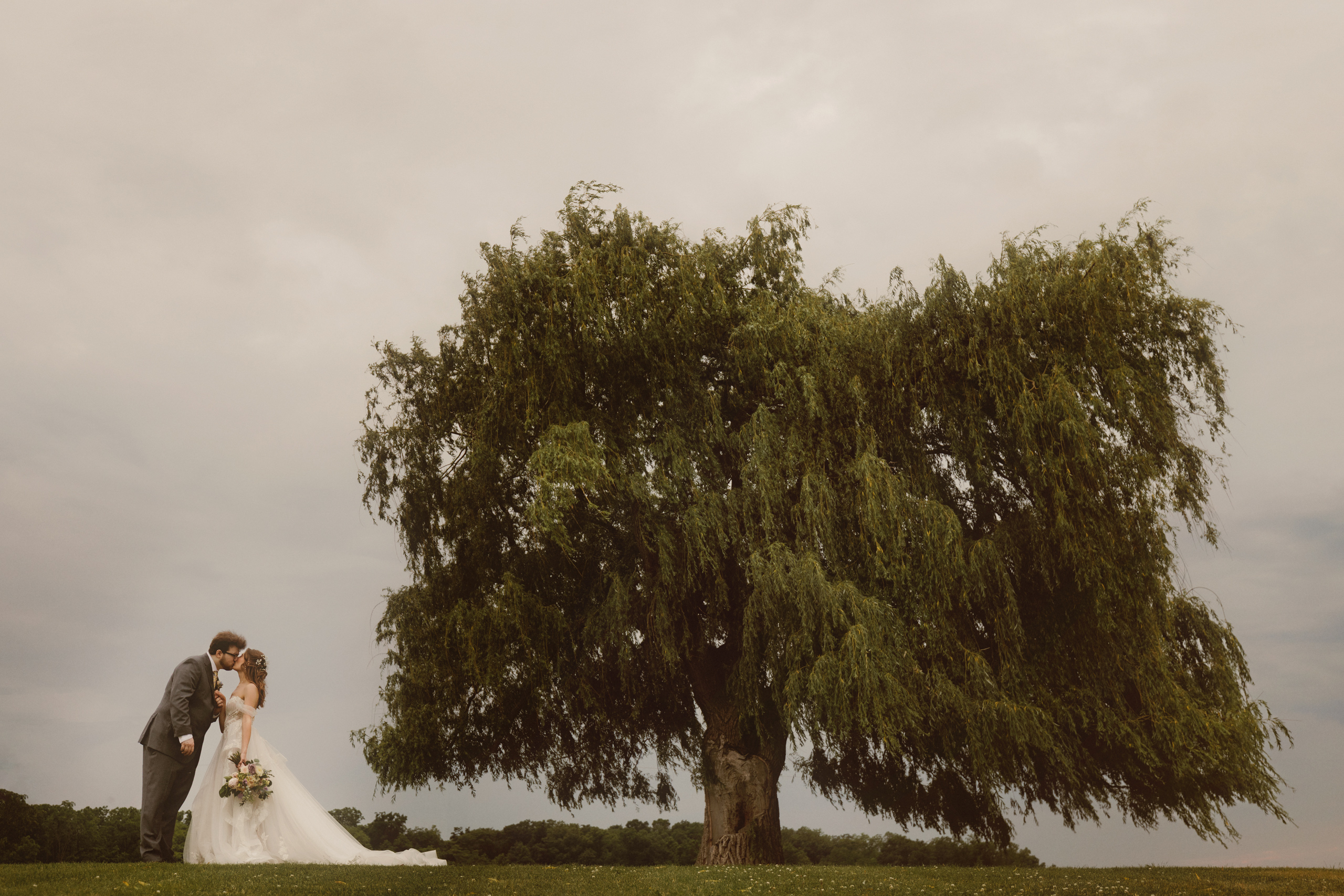 willow tree vineland estates winery wedding bride groom