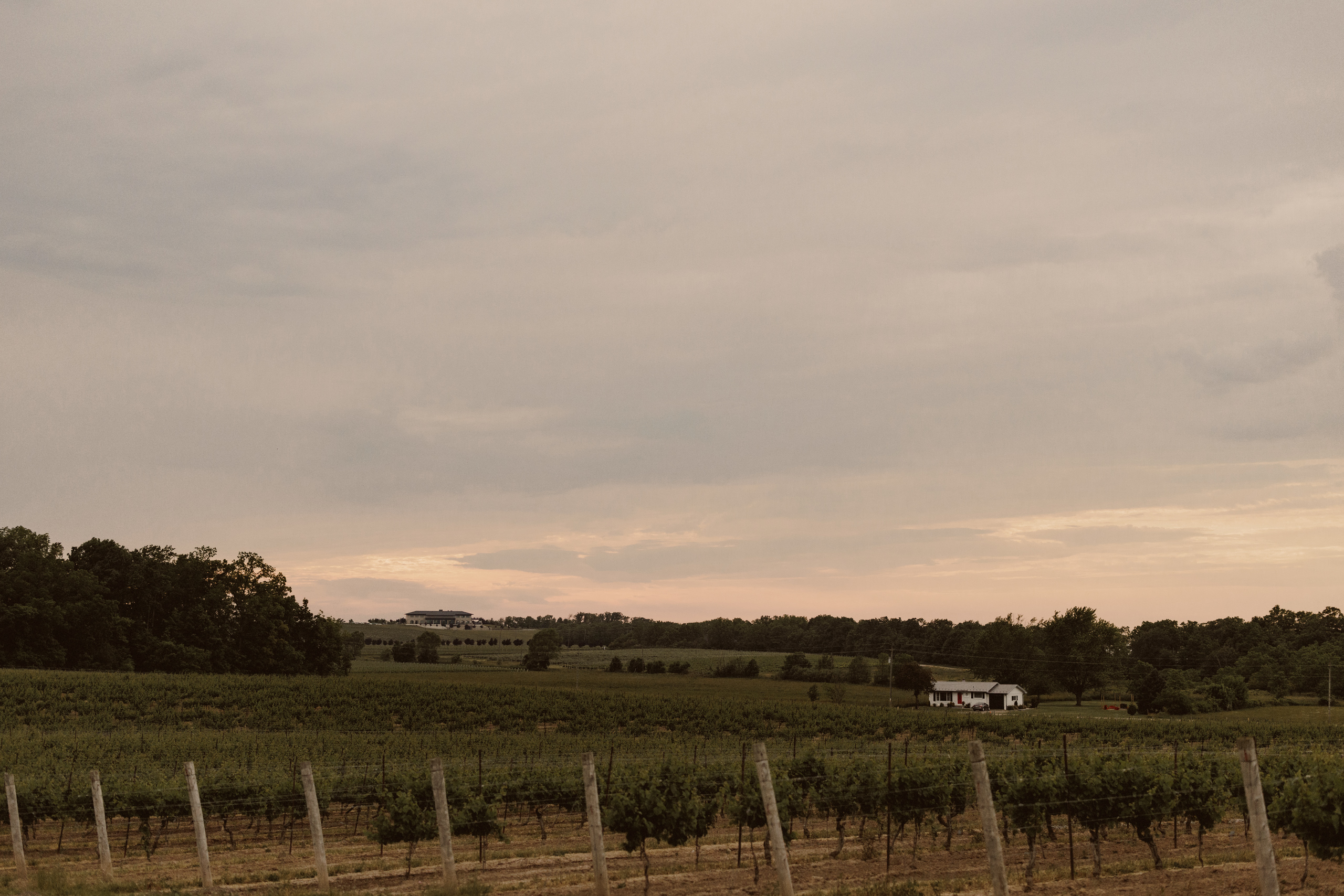 wide view vineland estates winery wedding venue