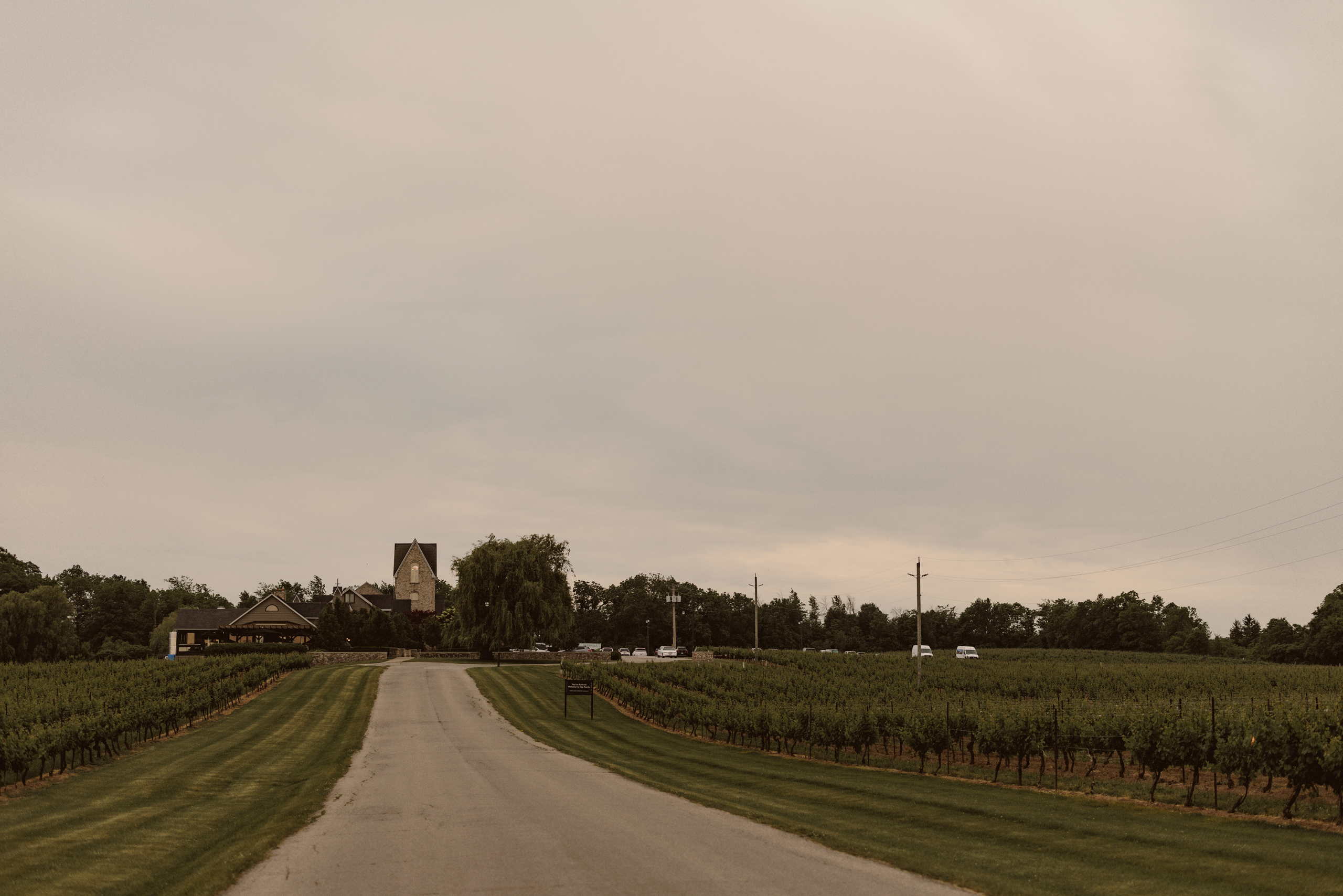 wide view vineland estates winery wedding venue